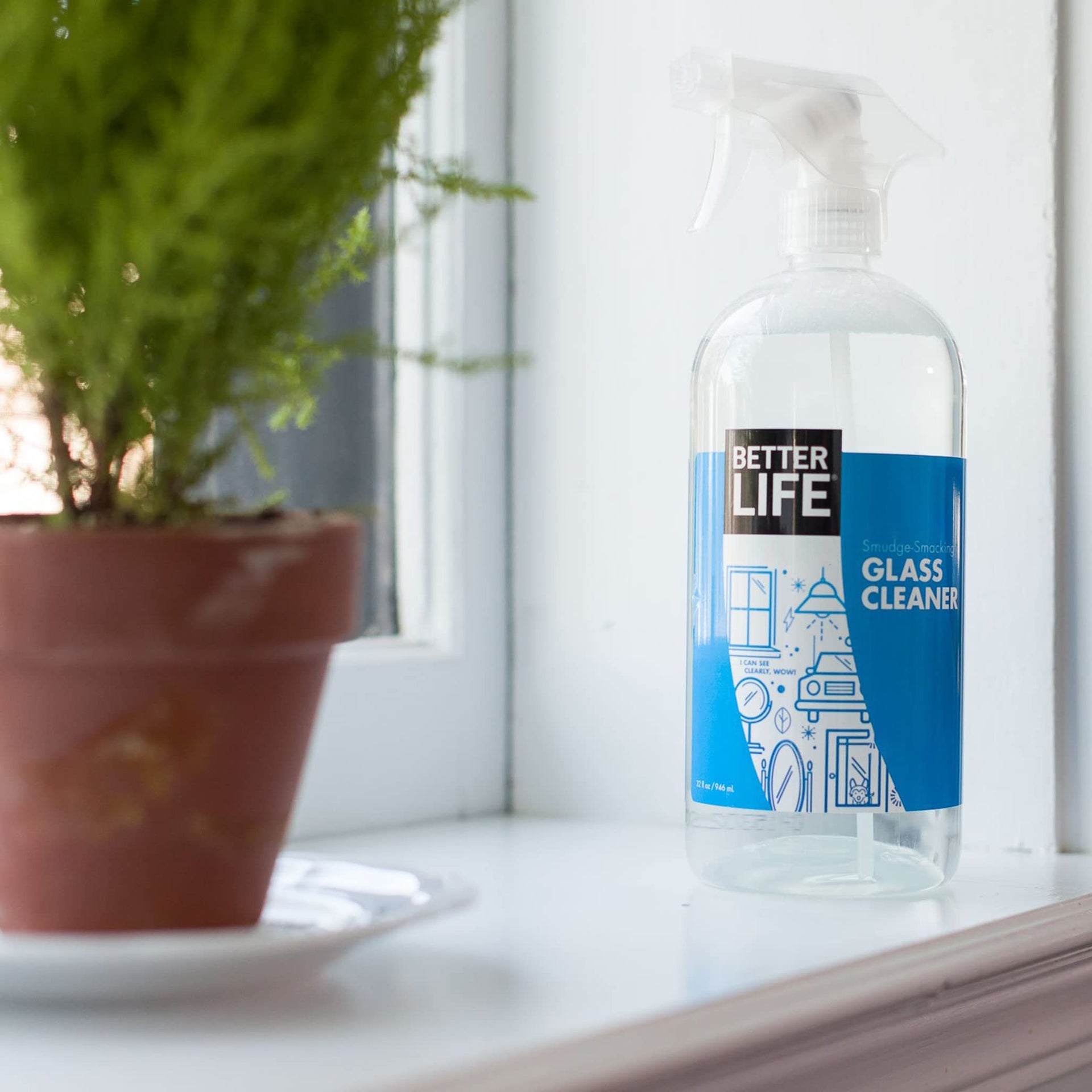 Glass Cleaner (32 Fl Oz) - ModHome Supplies