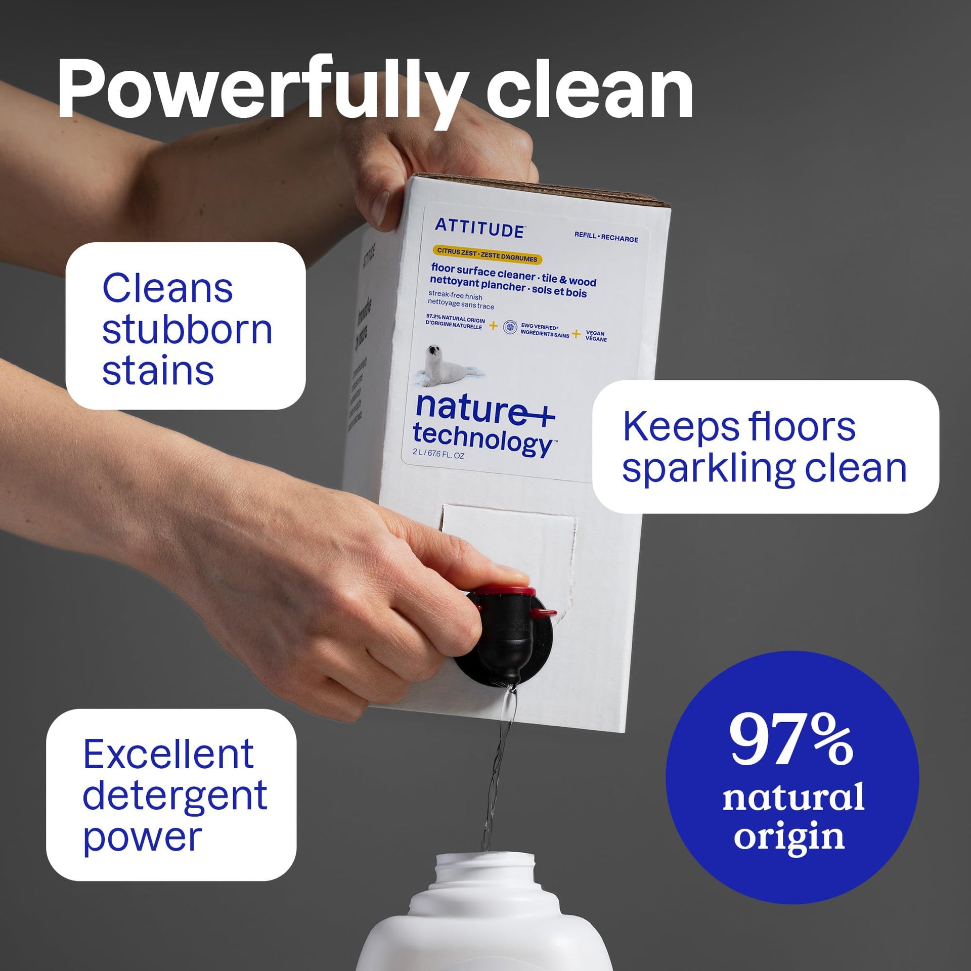Floor Cleaner (35.2 Fl Oz)