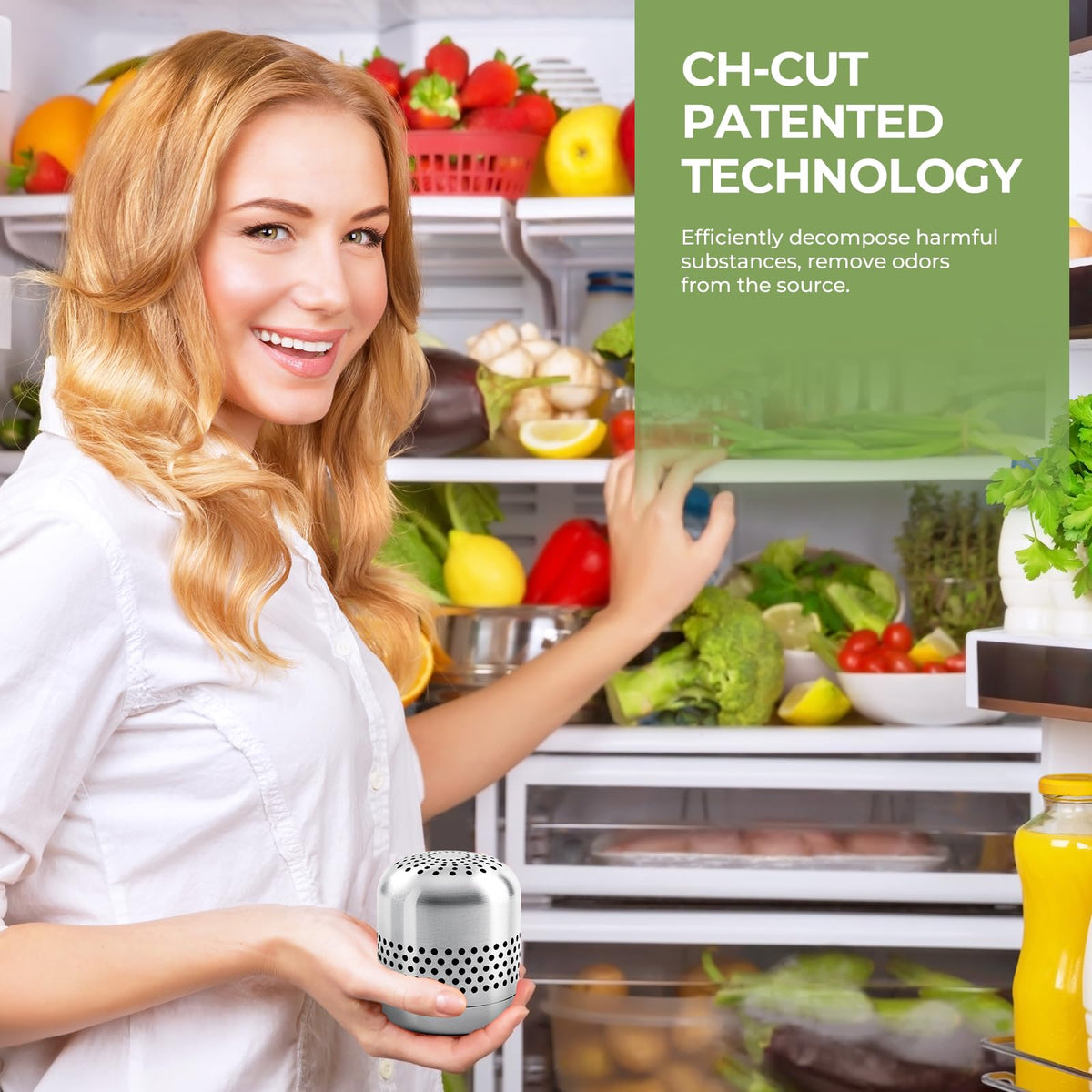 Fridge Deodorizer (2 Count)