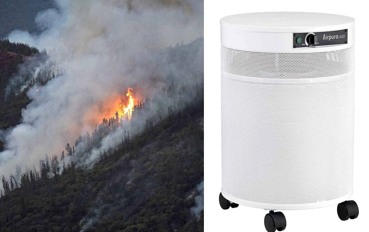V600 Air Purifier for Home