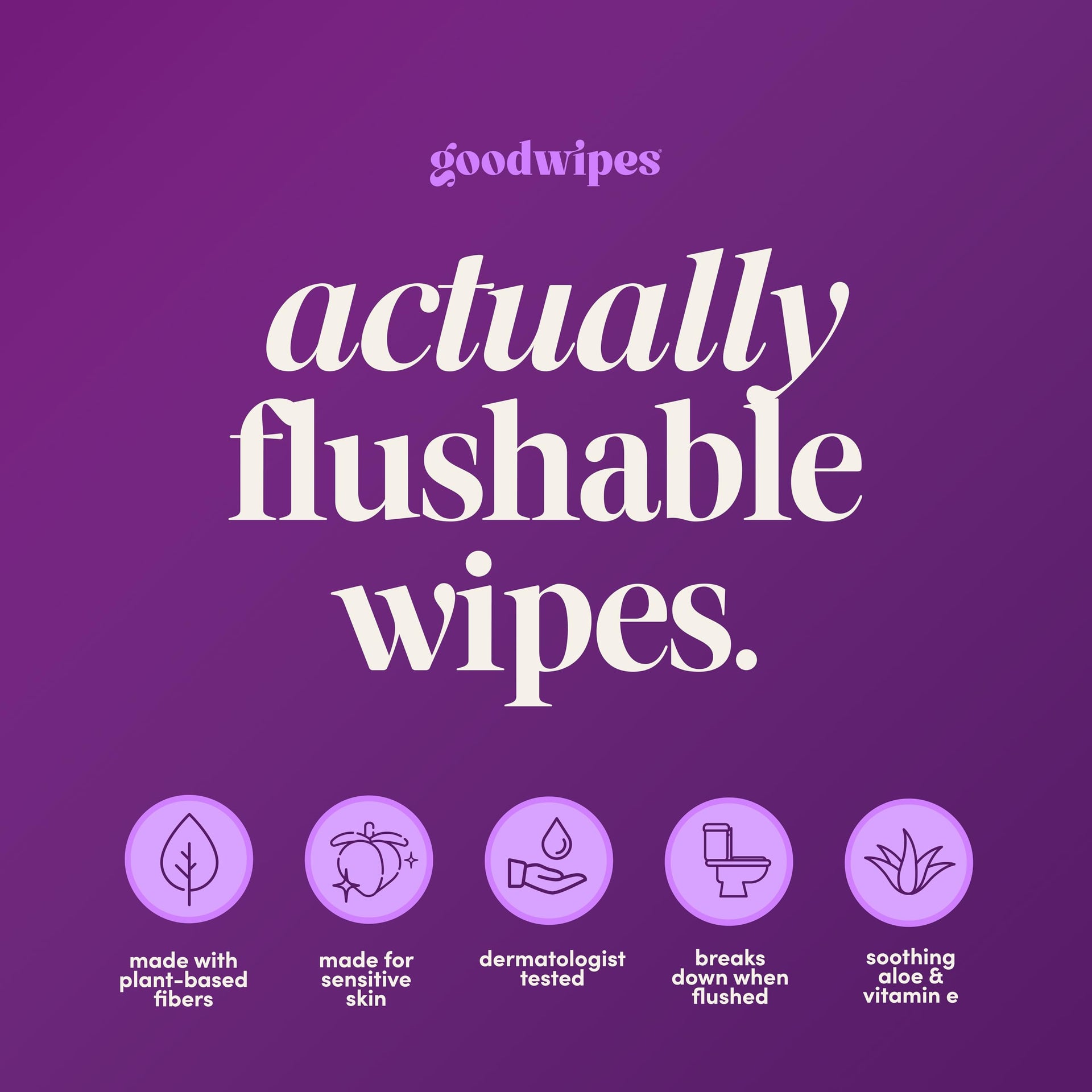 Flushable Wipes for Women (32 Count)