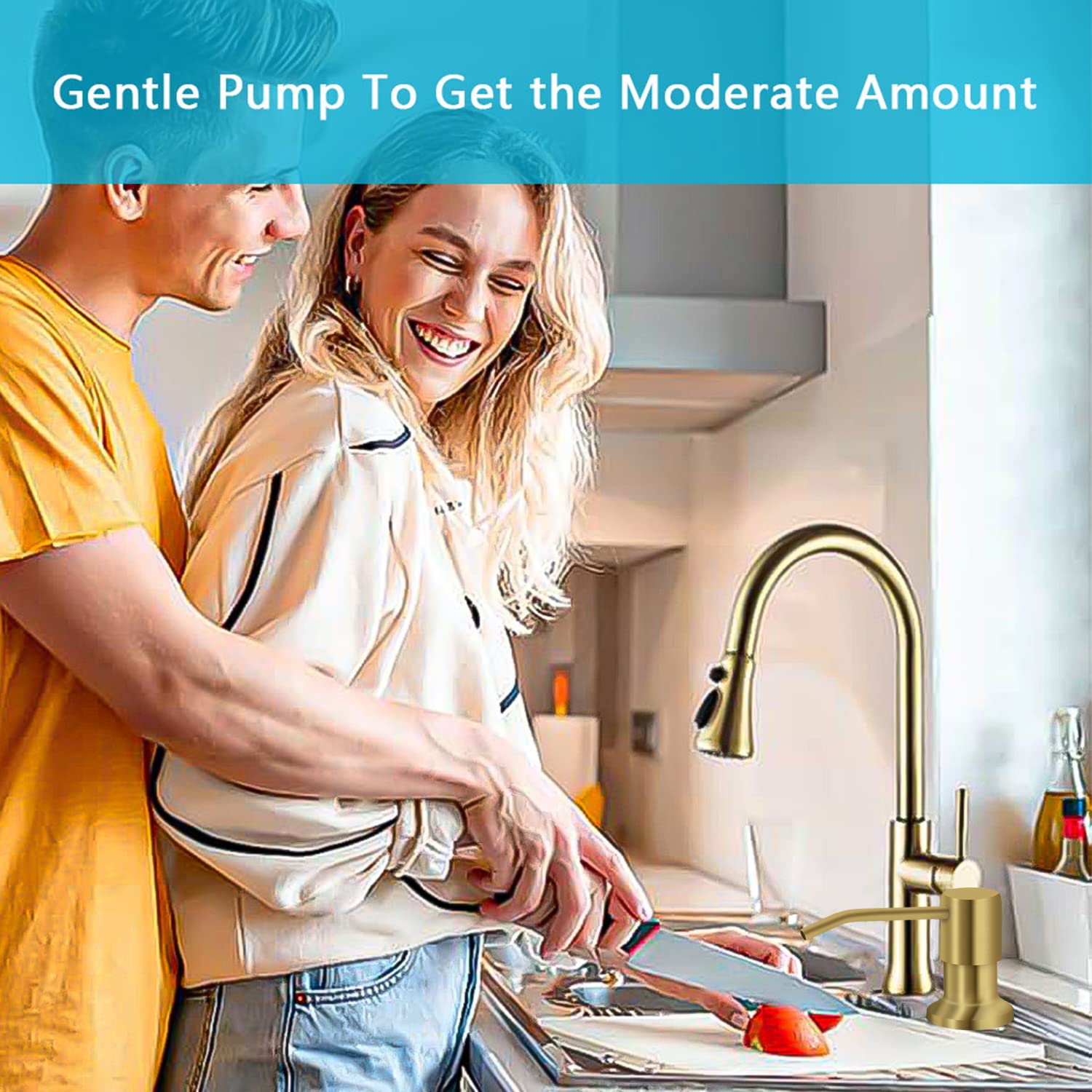 Soap Dispenser for Kitchen Sink