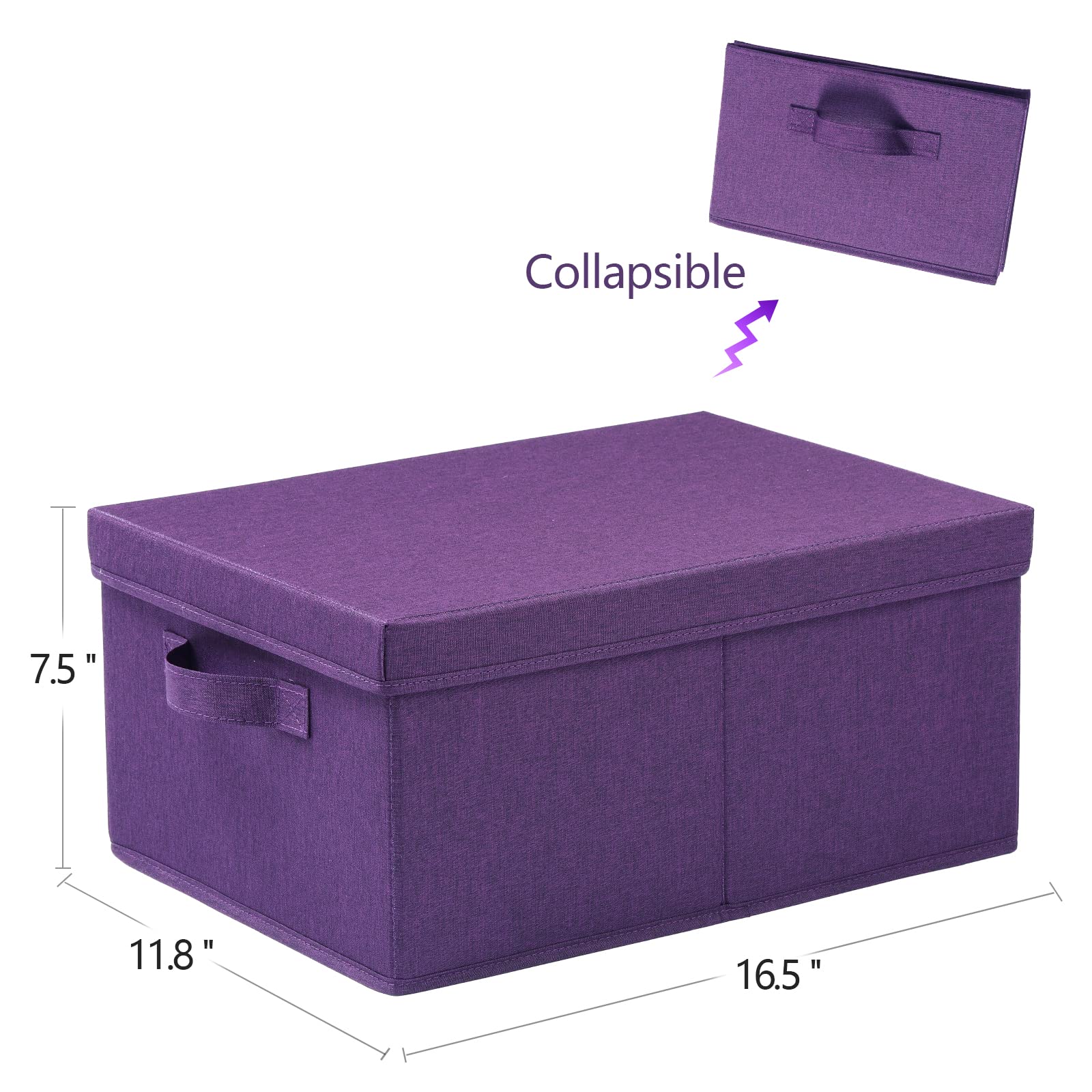 Storage Bins with Lids for Organizing (2 Count)
