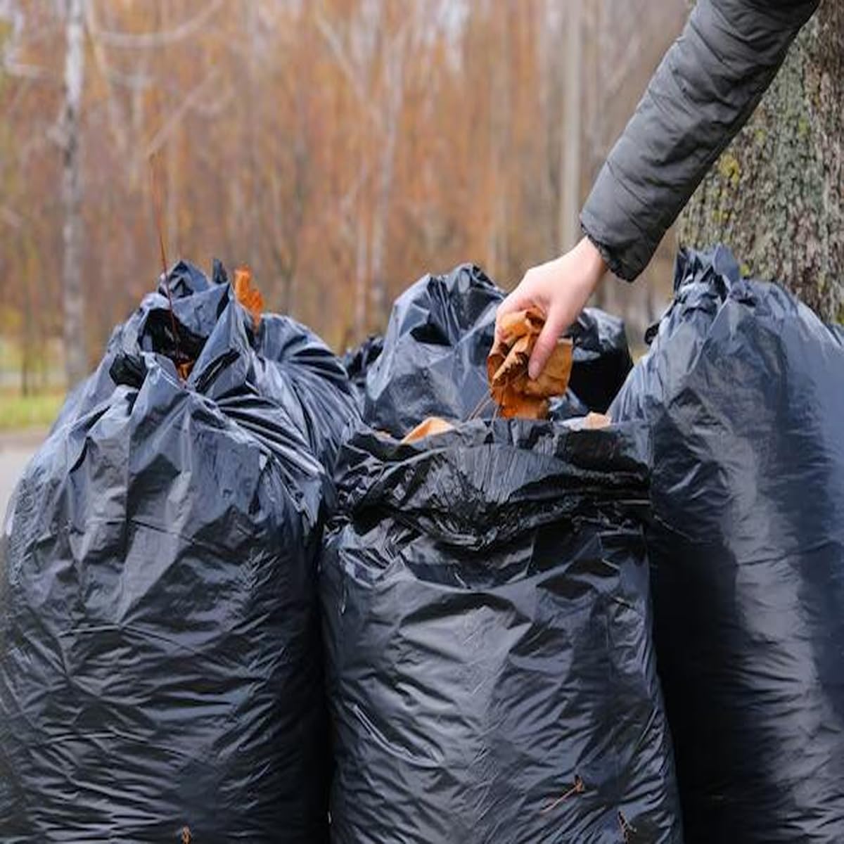 40 45 Gallon Lawn & Leaf Trash Bags (50 Count)
