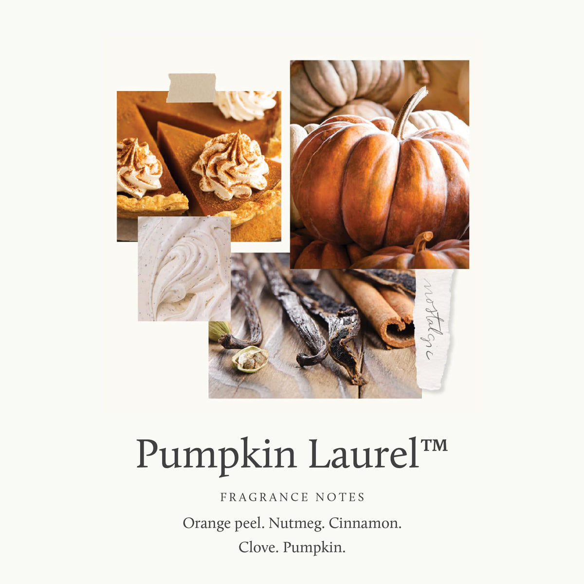 Pumpkin Laurel Reed Diffuser Oil Refill (7.75 Fl Oz)
