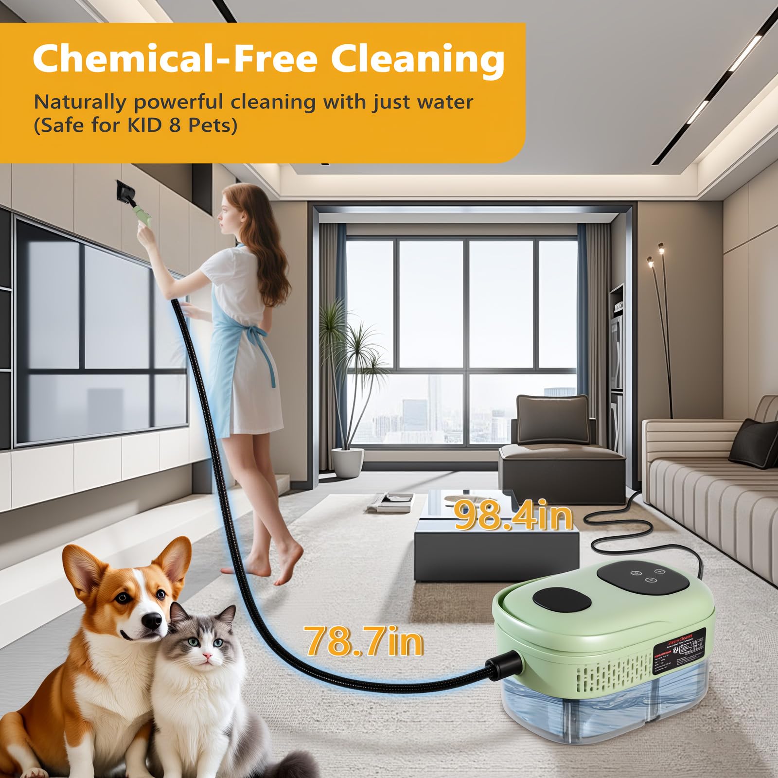 Steam Cleaner