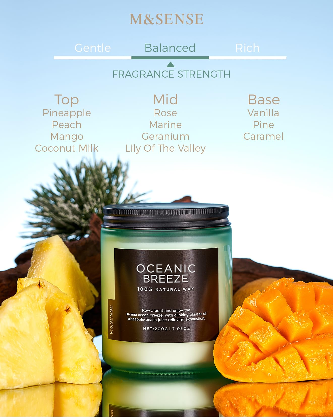 Oceanic Breeze Home Scented Candles (6 Ounce)