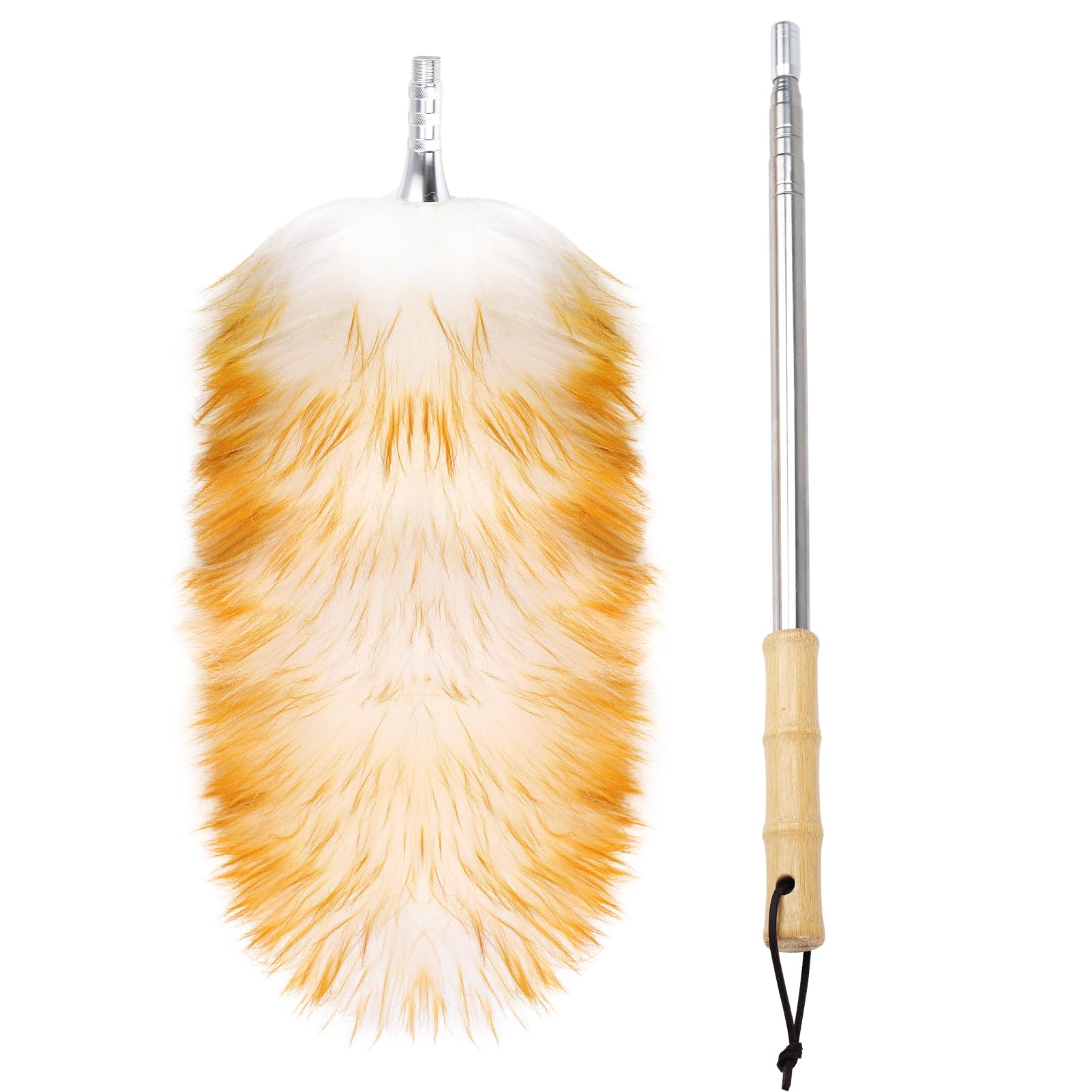 Feathers Duster