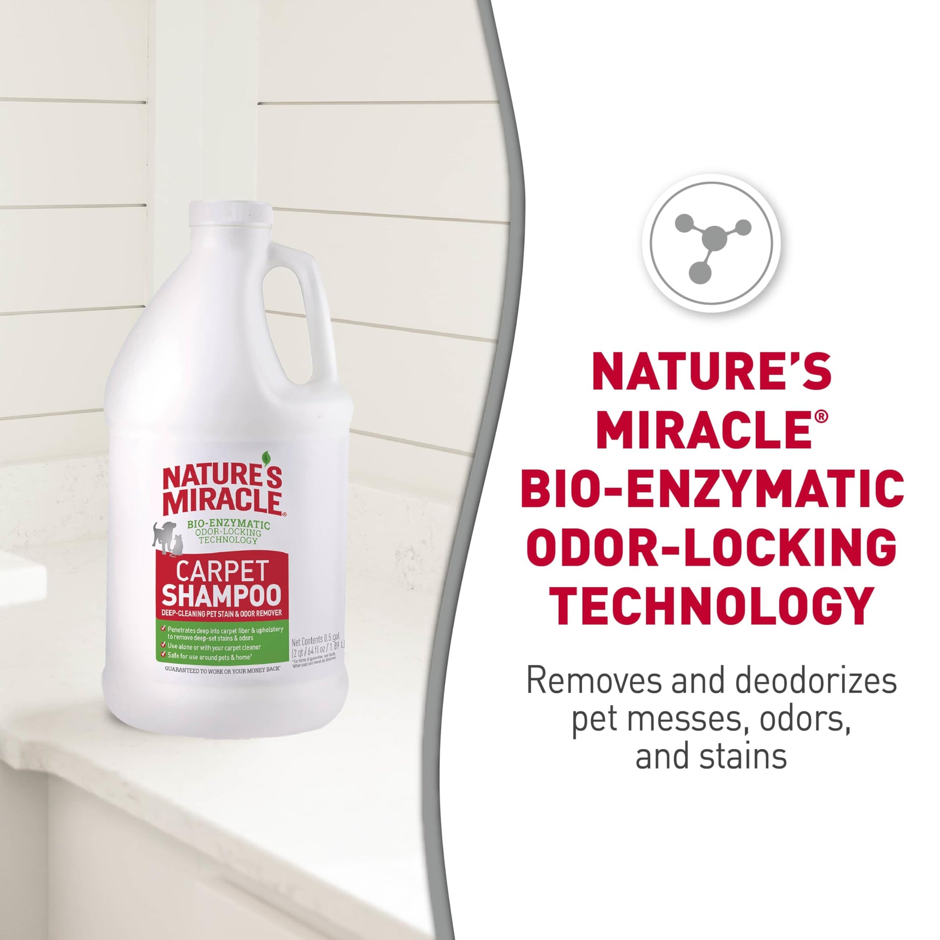 Carpet Shampoo Pet Stain & Odor Remover (64 Ounce) - ModHome Supplies