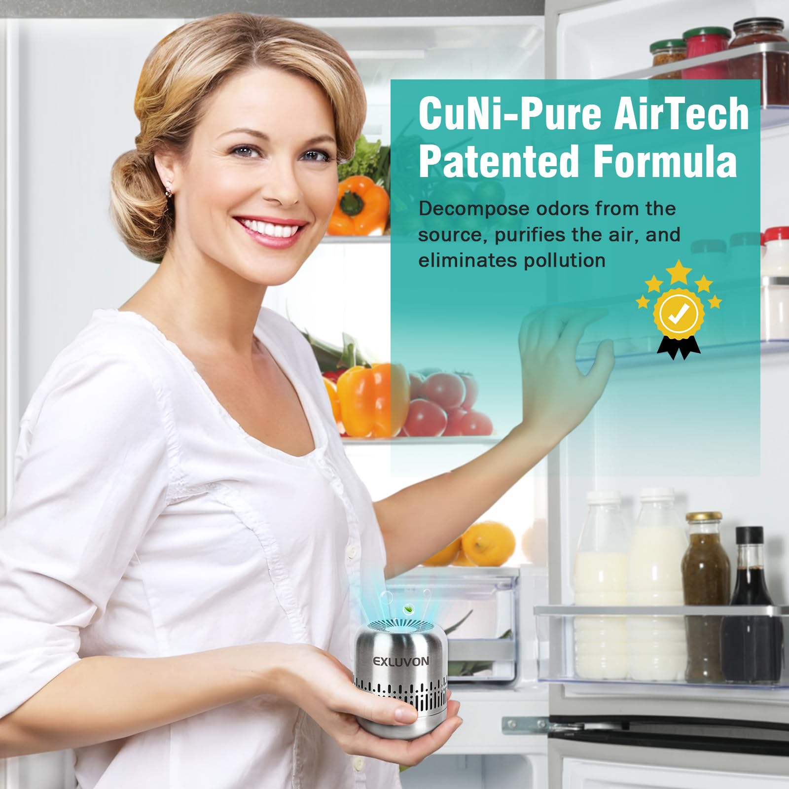 Refrigerator Deodorizer