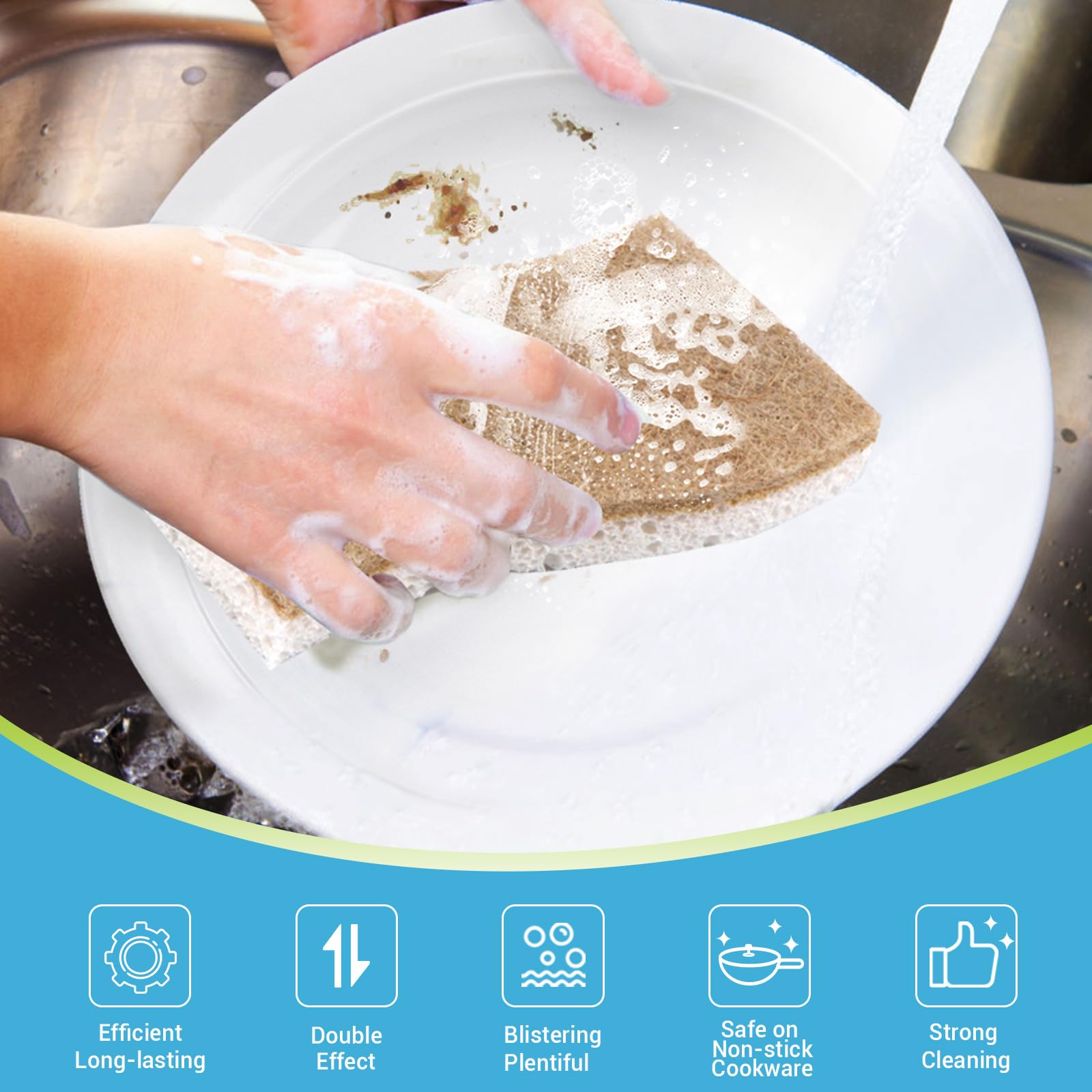 XL Sponges Kitchen (6 Count)