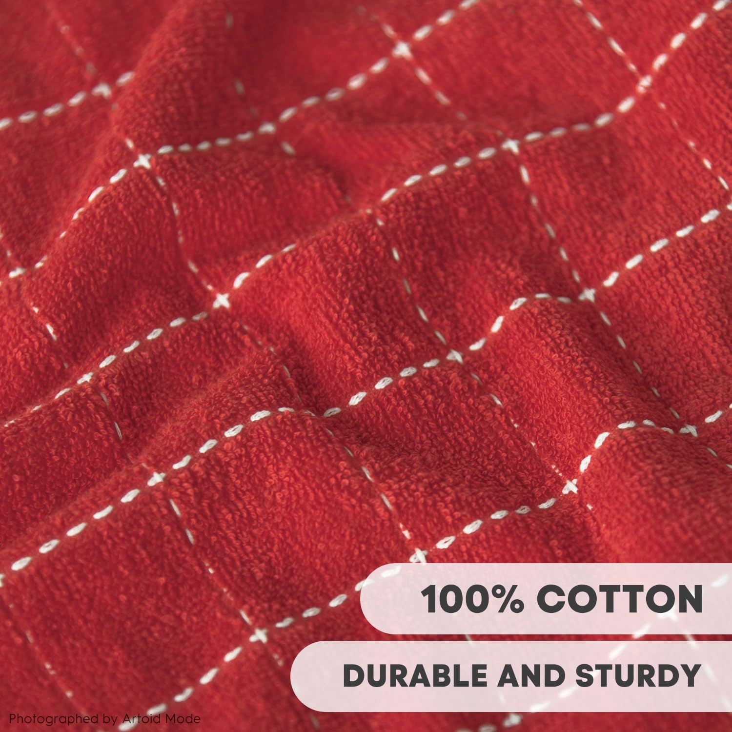 Checkered Designed Cotton Beige Red Terry Kitchen Dish Towels (4 Count)