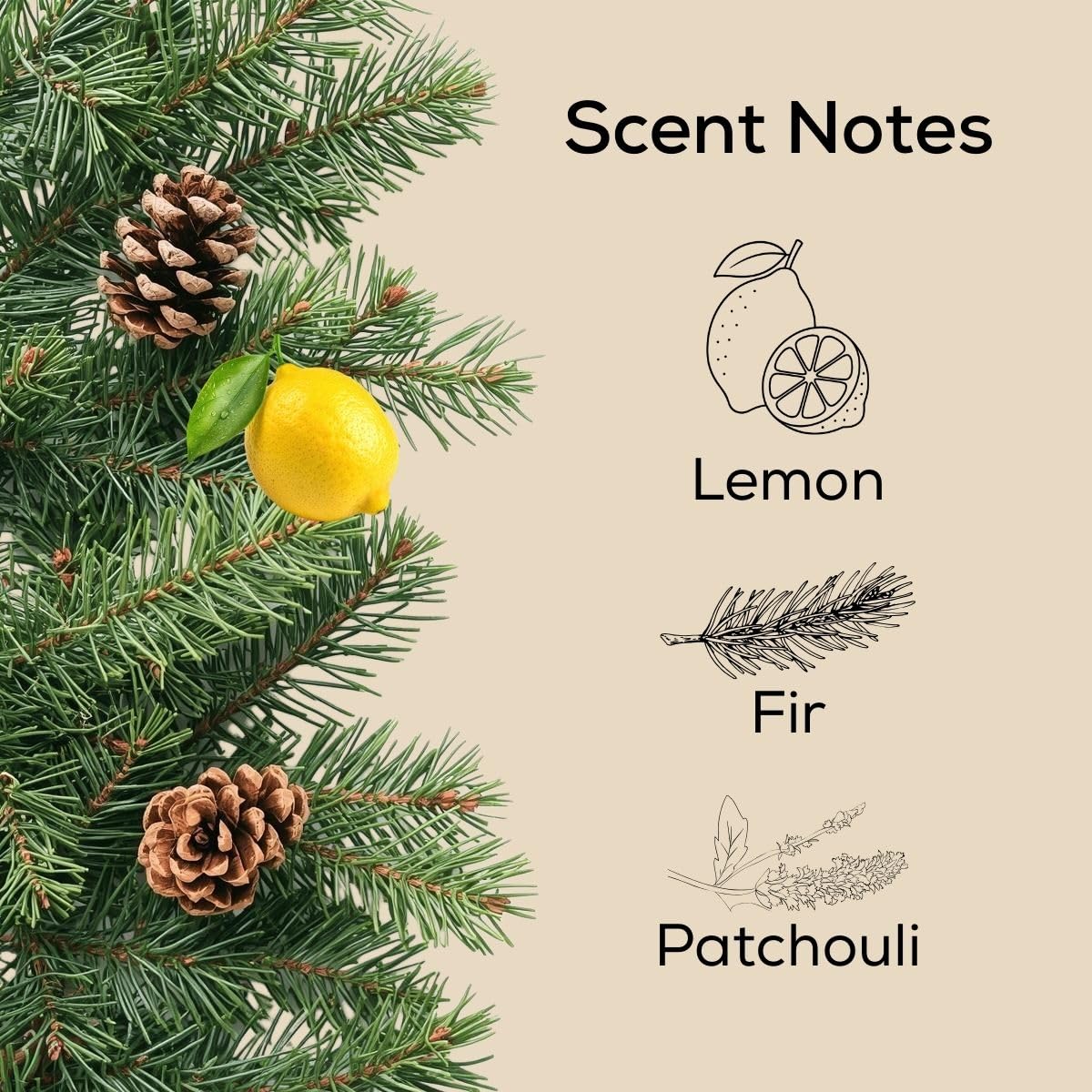 Fraser Fir & Fresh Balsam Pine Plug in Air Freshener (2.72 Fl Oz)