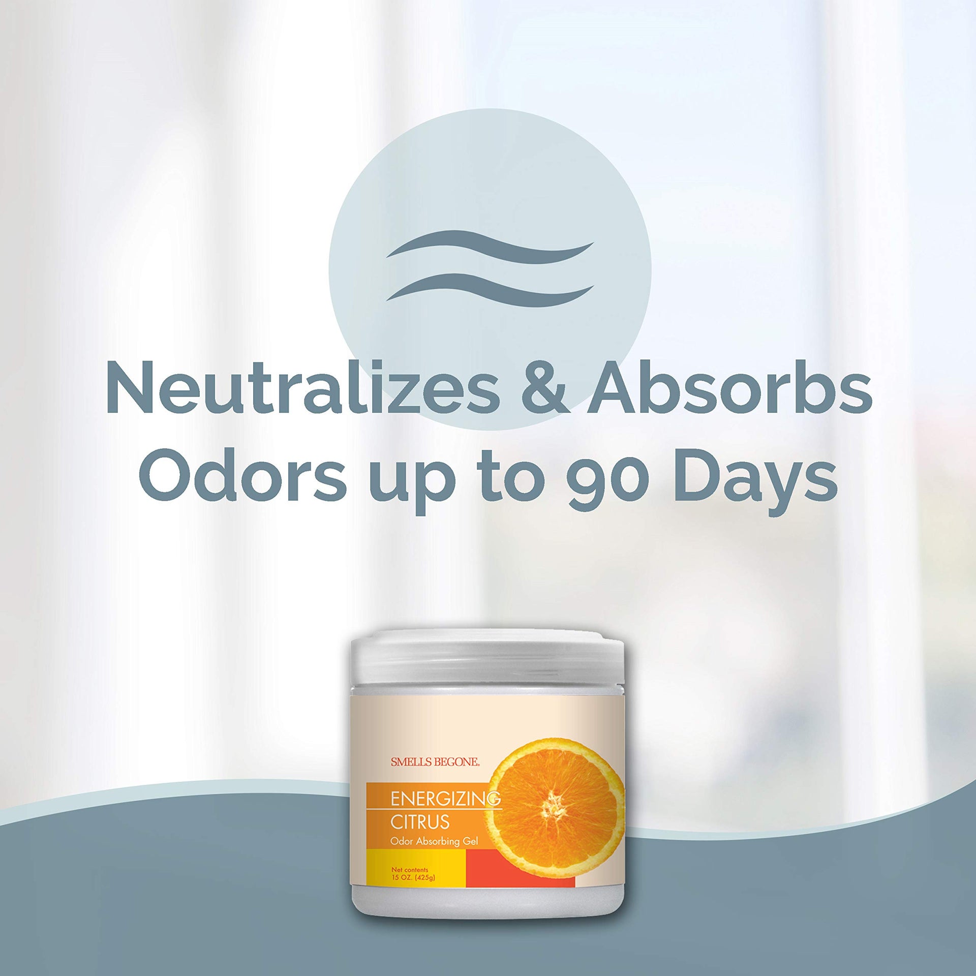 Air Freshener Odor Absorber Gel (30 Ounce)