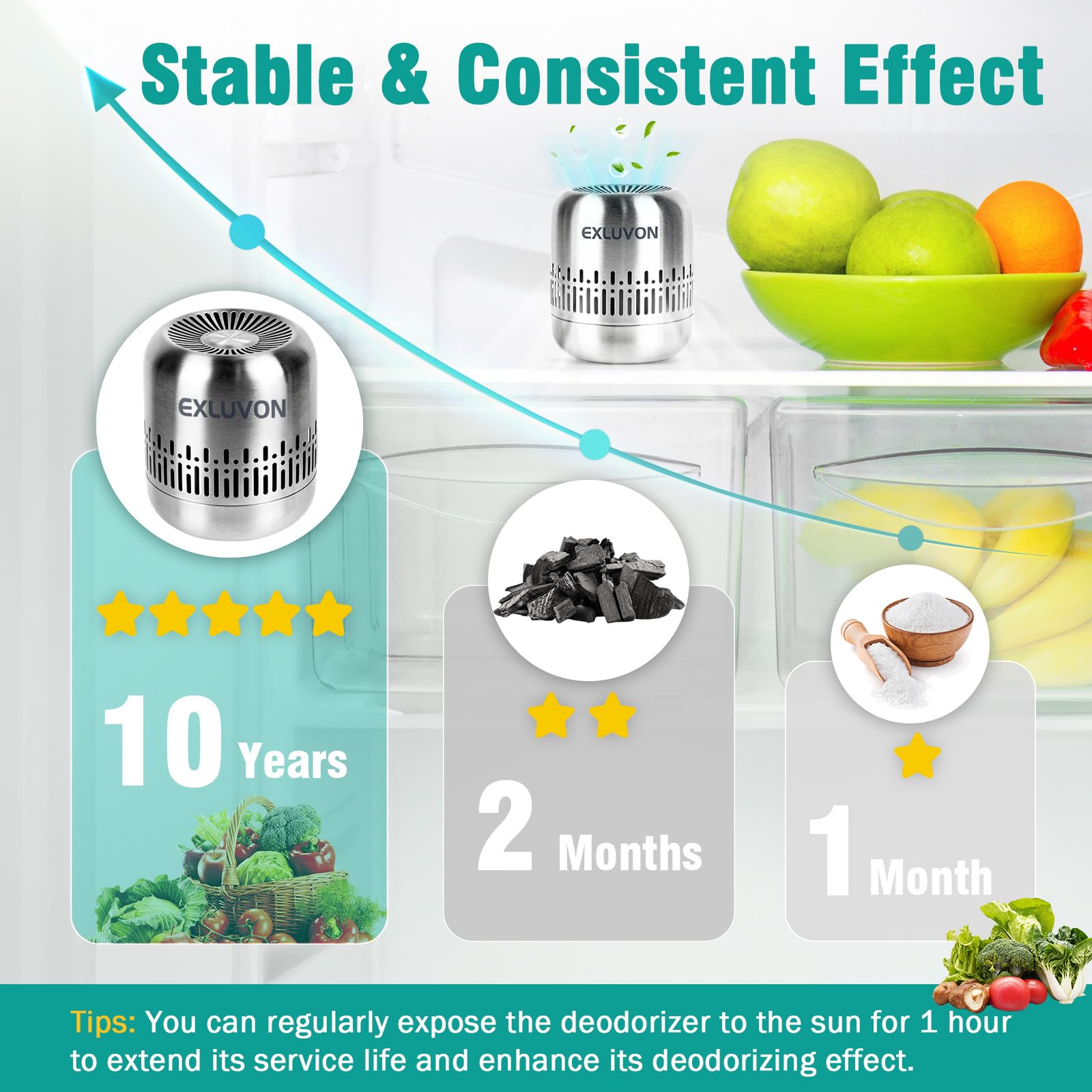 Refrigerator Deodorizer