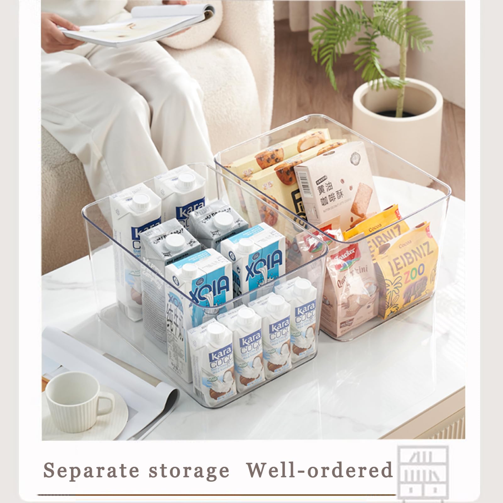 Clear plastic storage bins with LIDS (3 Count)