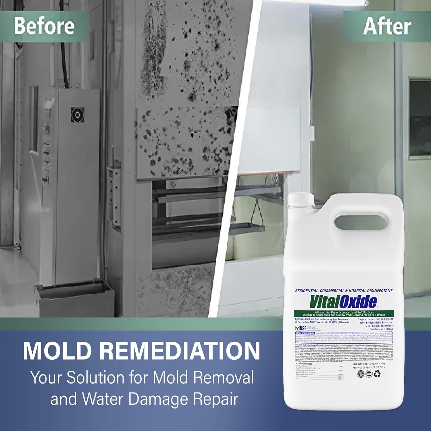 Disinfectant Deodorizer (128 Fl Oz)