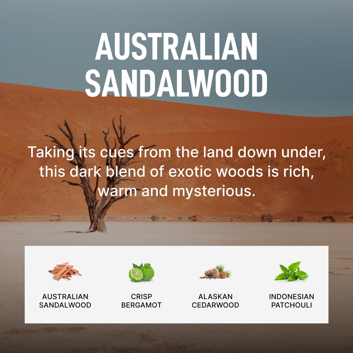 Australian Sandalwood (4 Count)