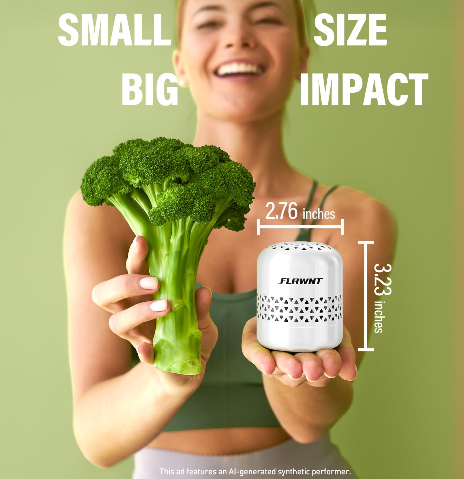 Fridge Deodorizer for Refrigerator