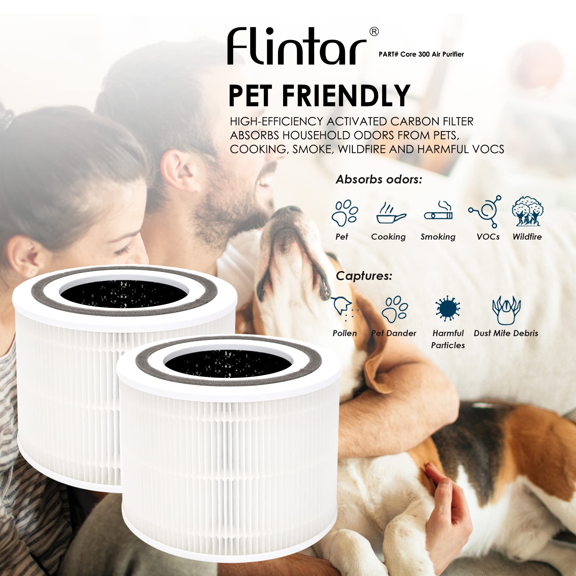 Core 300 Replacement Filters (2 Count)