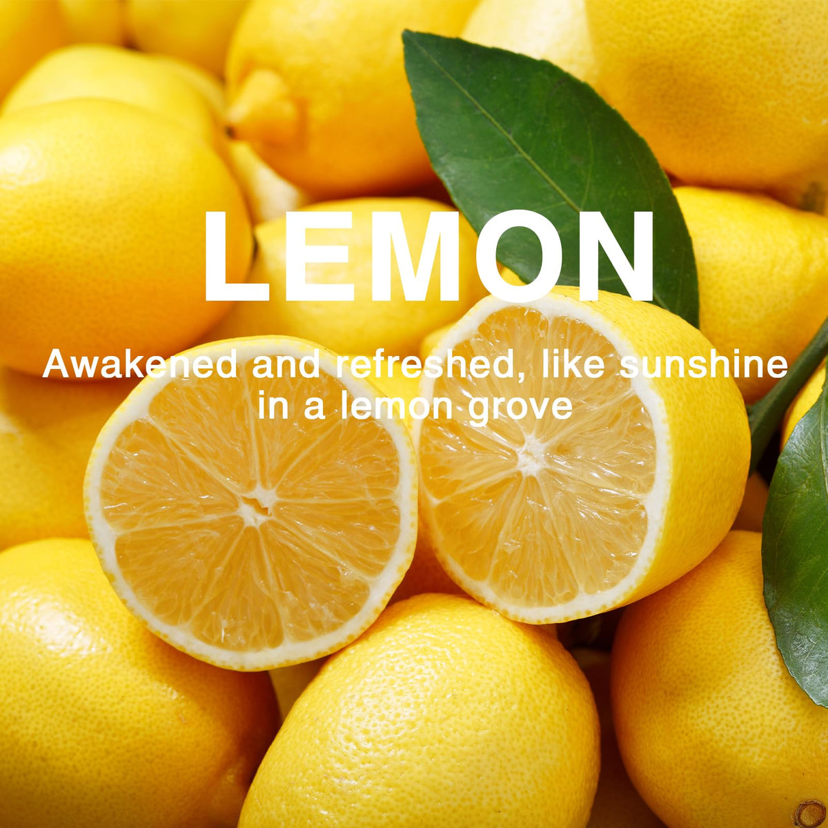 15 Packs Lemon Scented Sachets Bag for Drawers and Closets (7.93 Ounce)