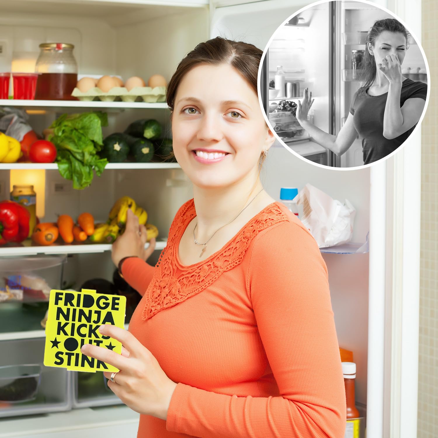Fridge Ninja Compact Fridge Deodorizer (2 Count)