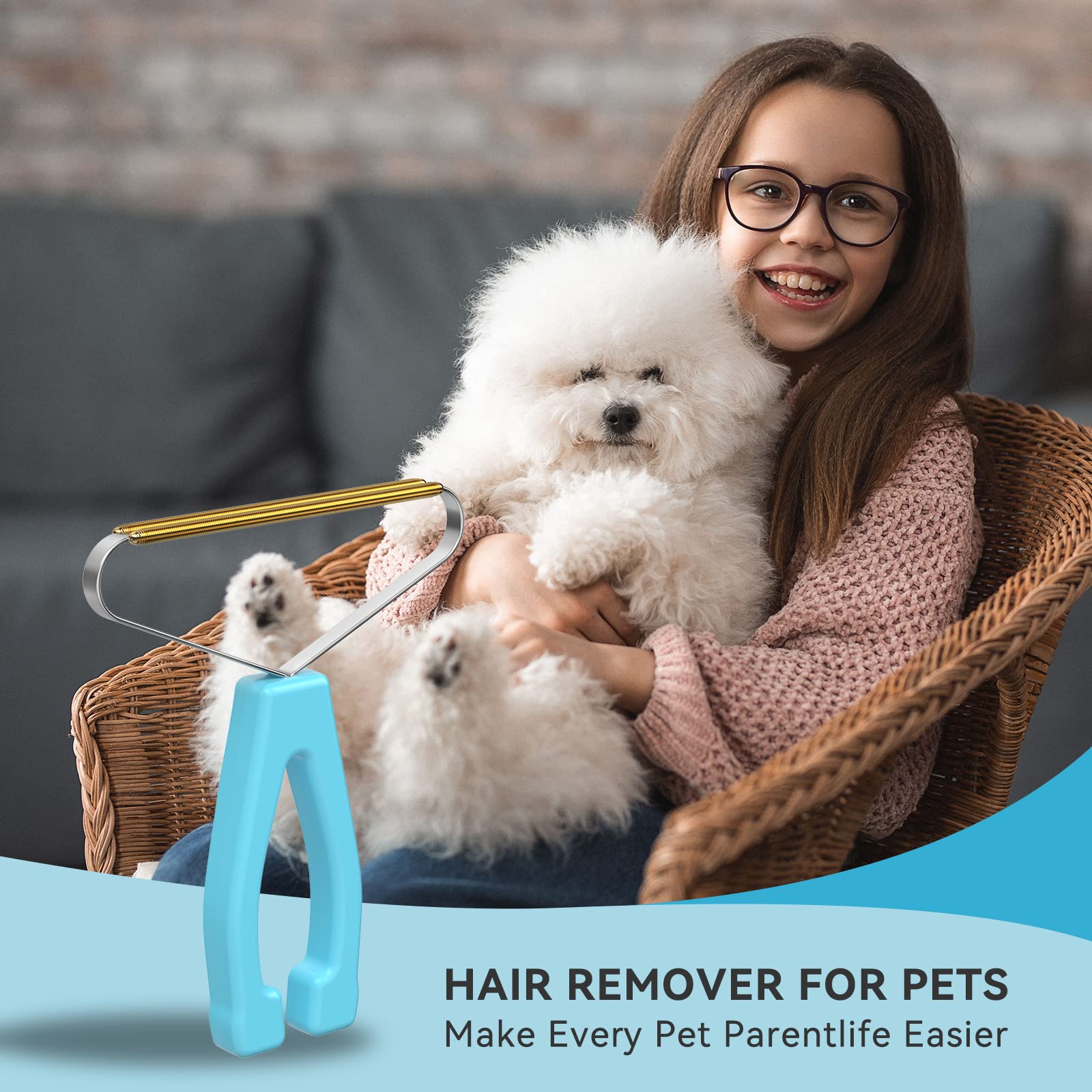 Carpet Rake Lint Remover