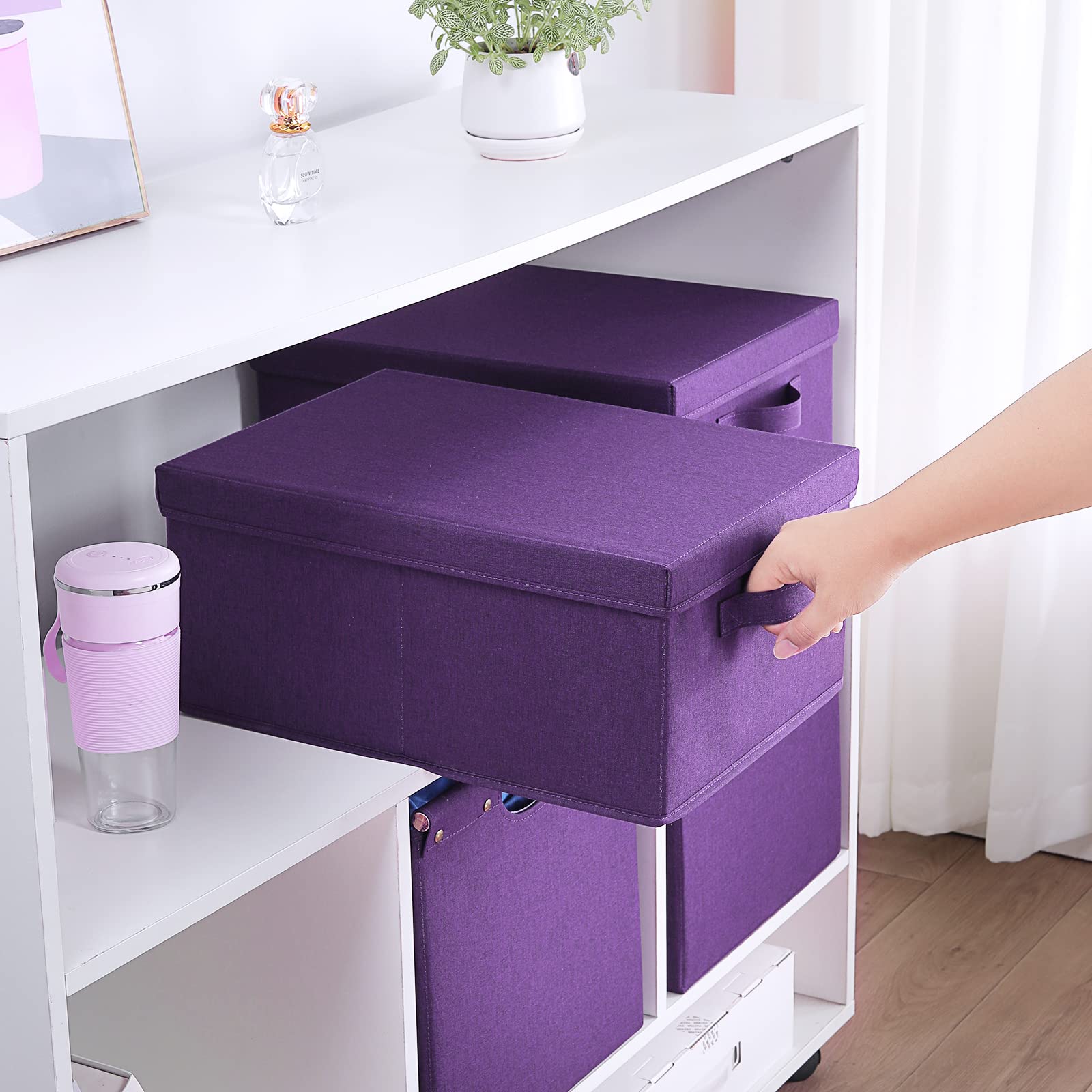 Storage Bins with Lids for Organizing (2 Count)