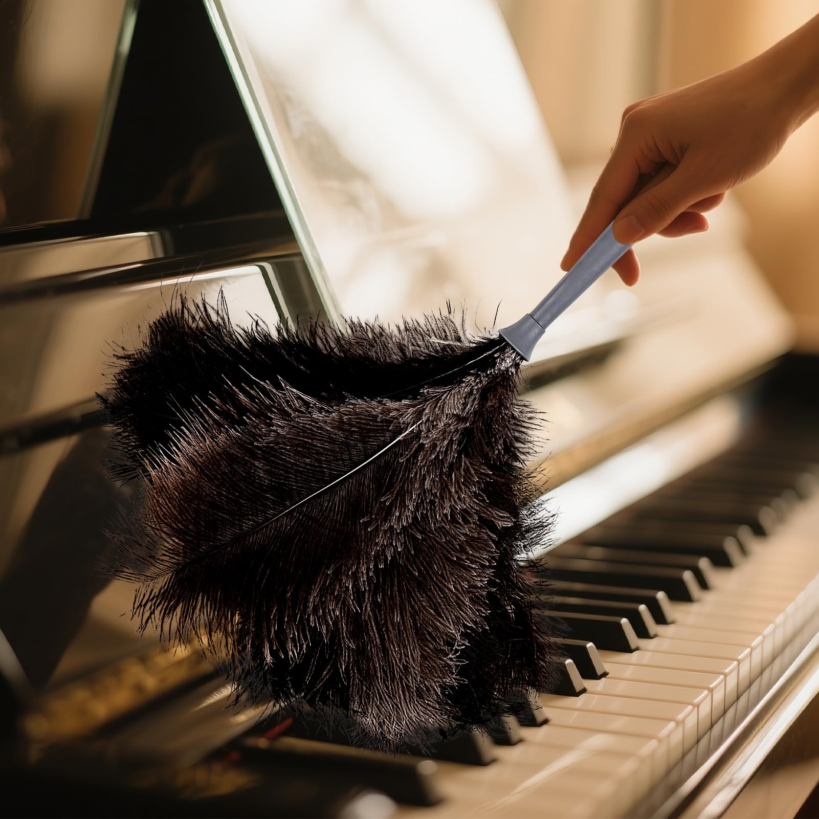 Feather Duster