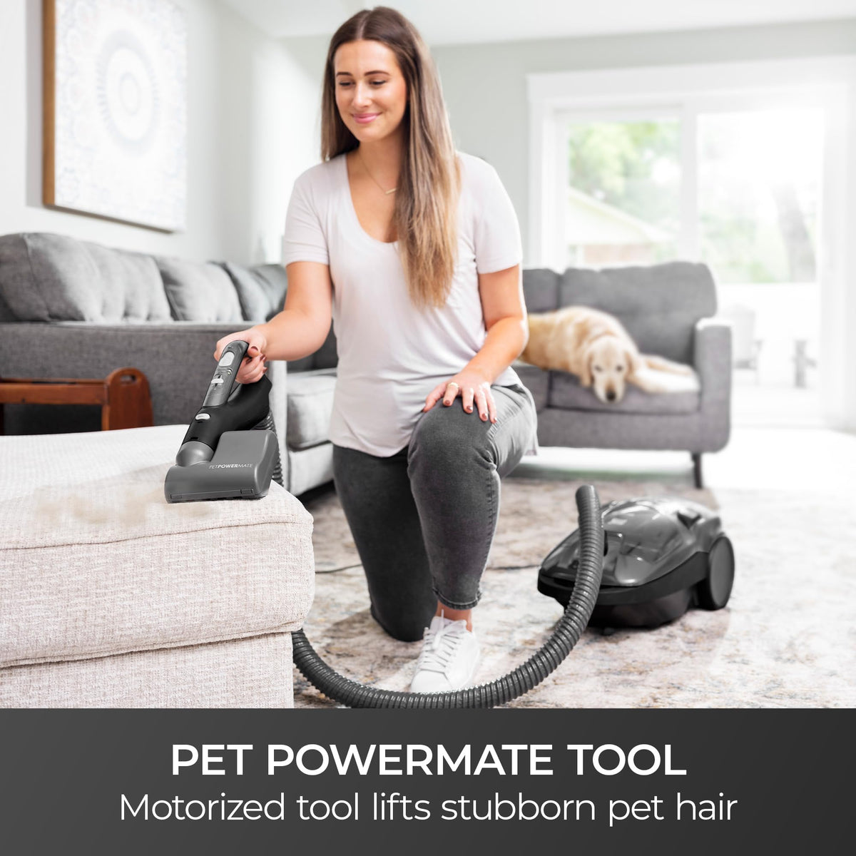 600 Series Bagged Canister Vacuum with Hair Eliminator Brushroll