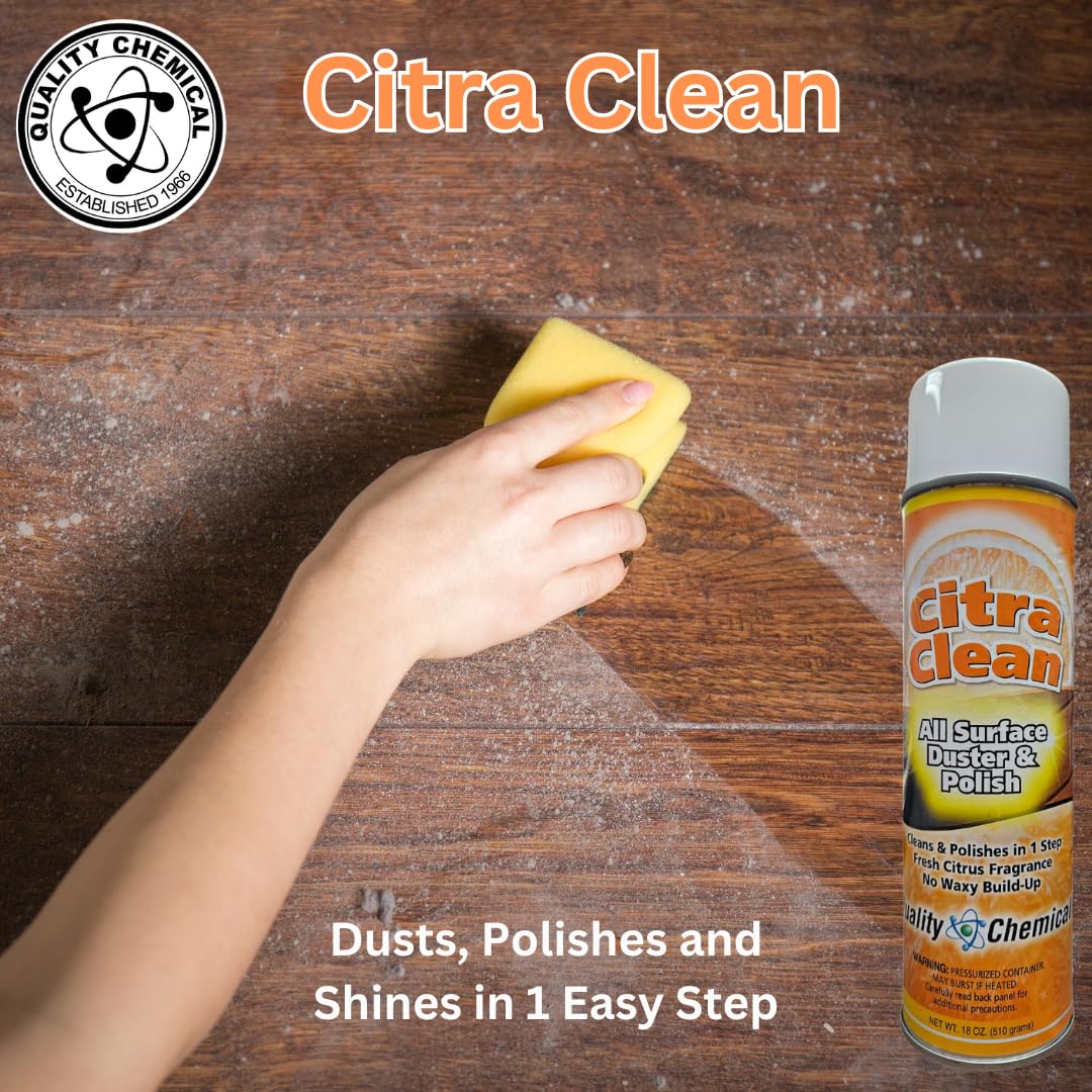 Citra Clean aerosol (12 Count)