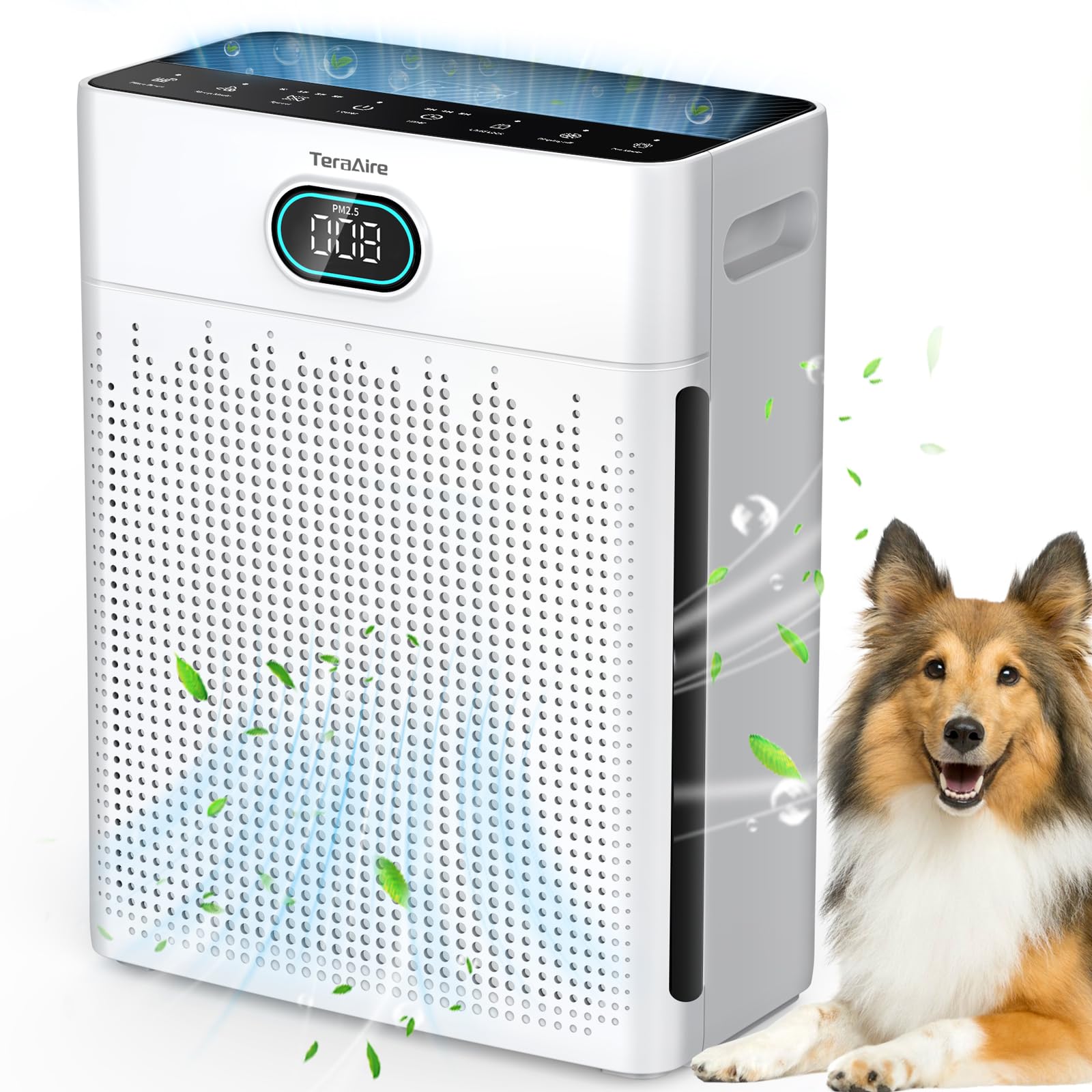 Air Purifiers for Home