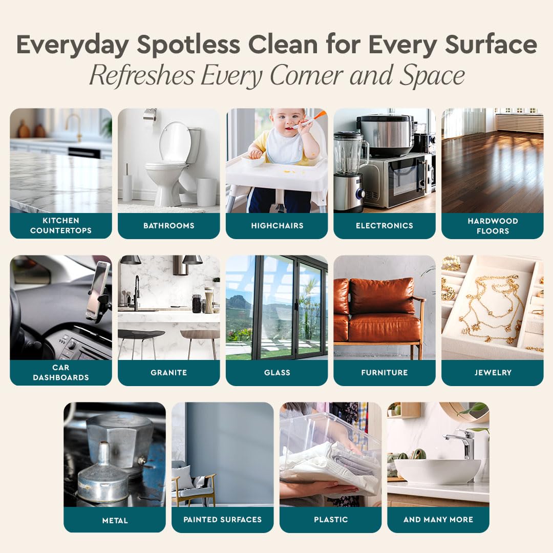 All Purpose Cleaner Clean Can (43.2 Fl Oz)