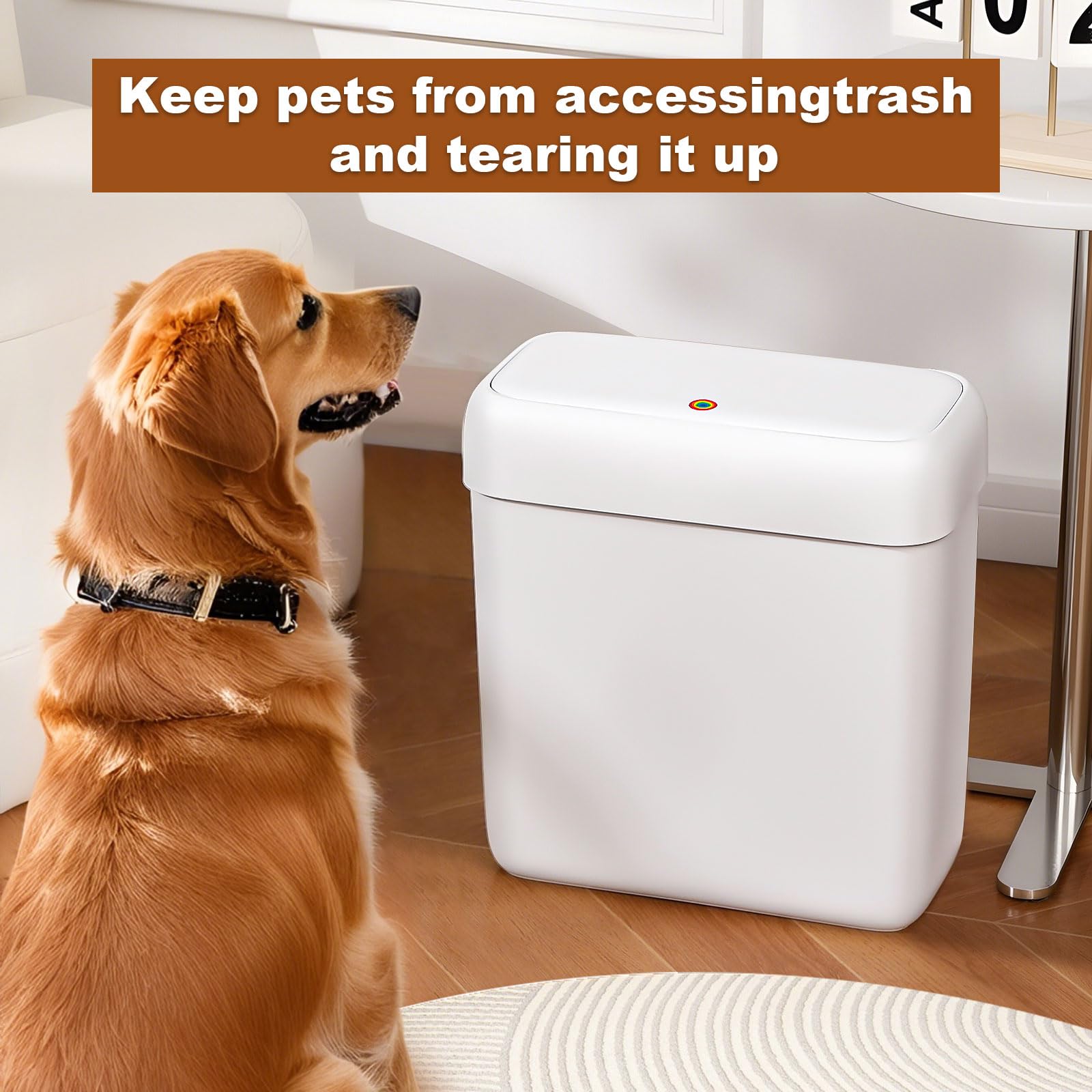 2 Pack Bathroom Trash Can with Lid
