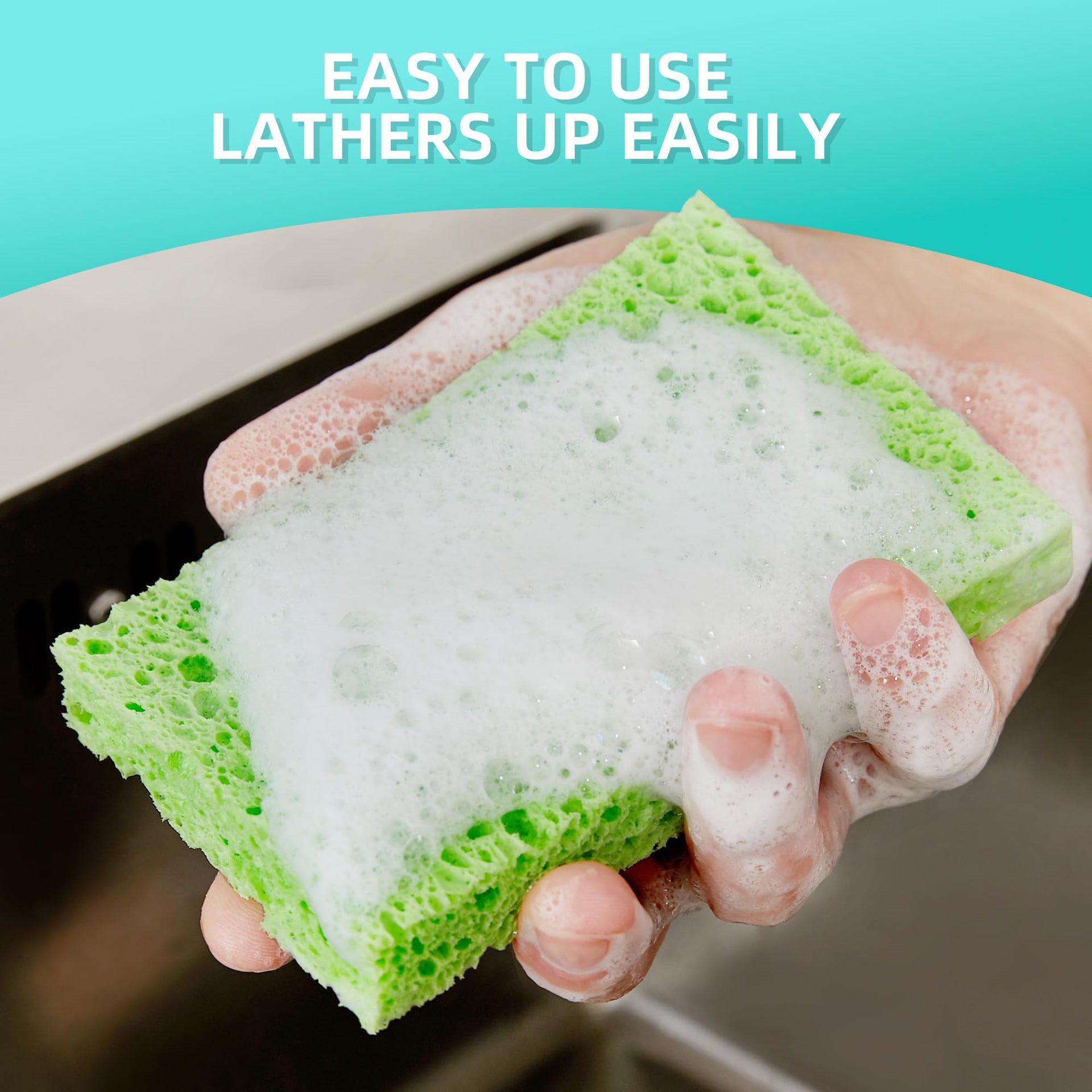 Dish Sponge Scrubber (24 Count)