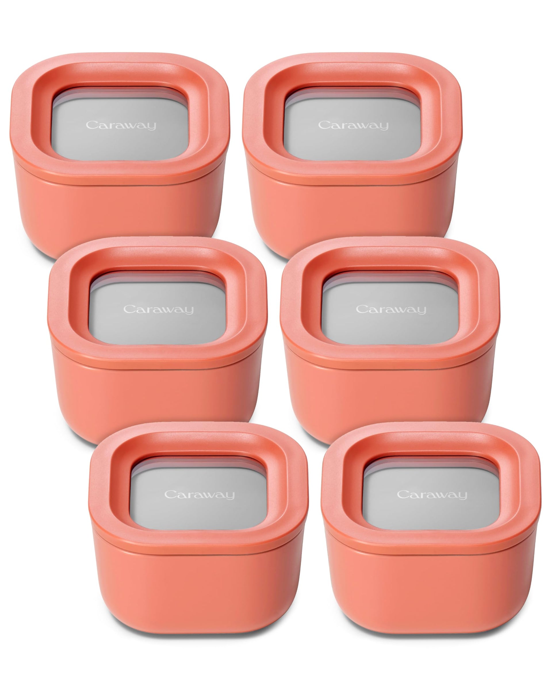 6 Piece Food Storage Container Set (6 Count)