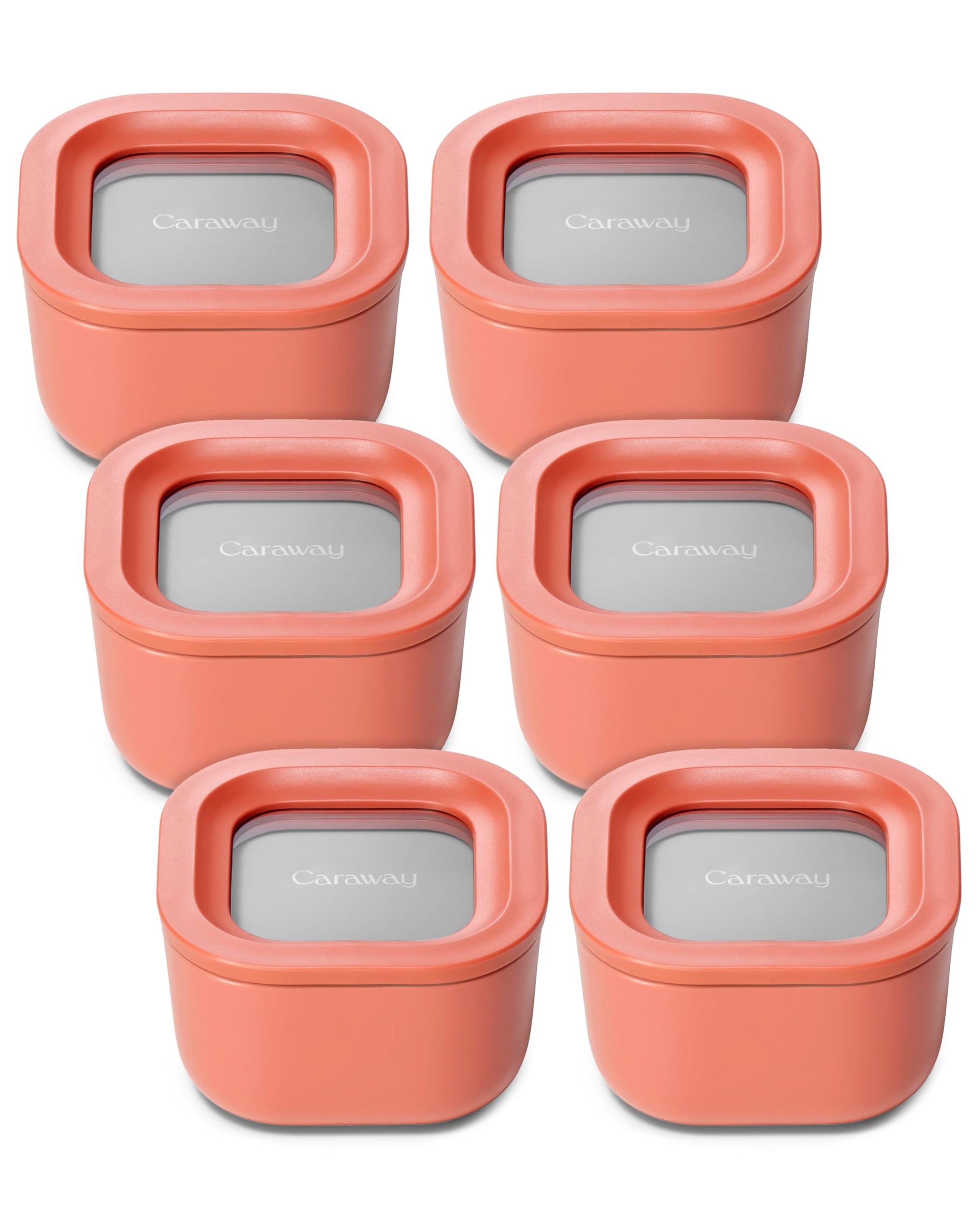 6 Piece Food Storage Container Set (6 Count)