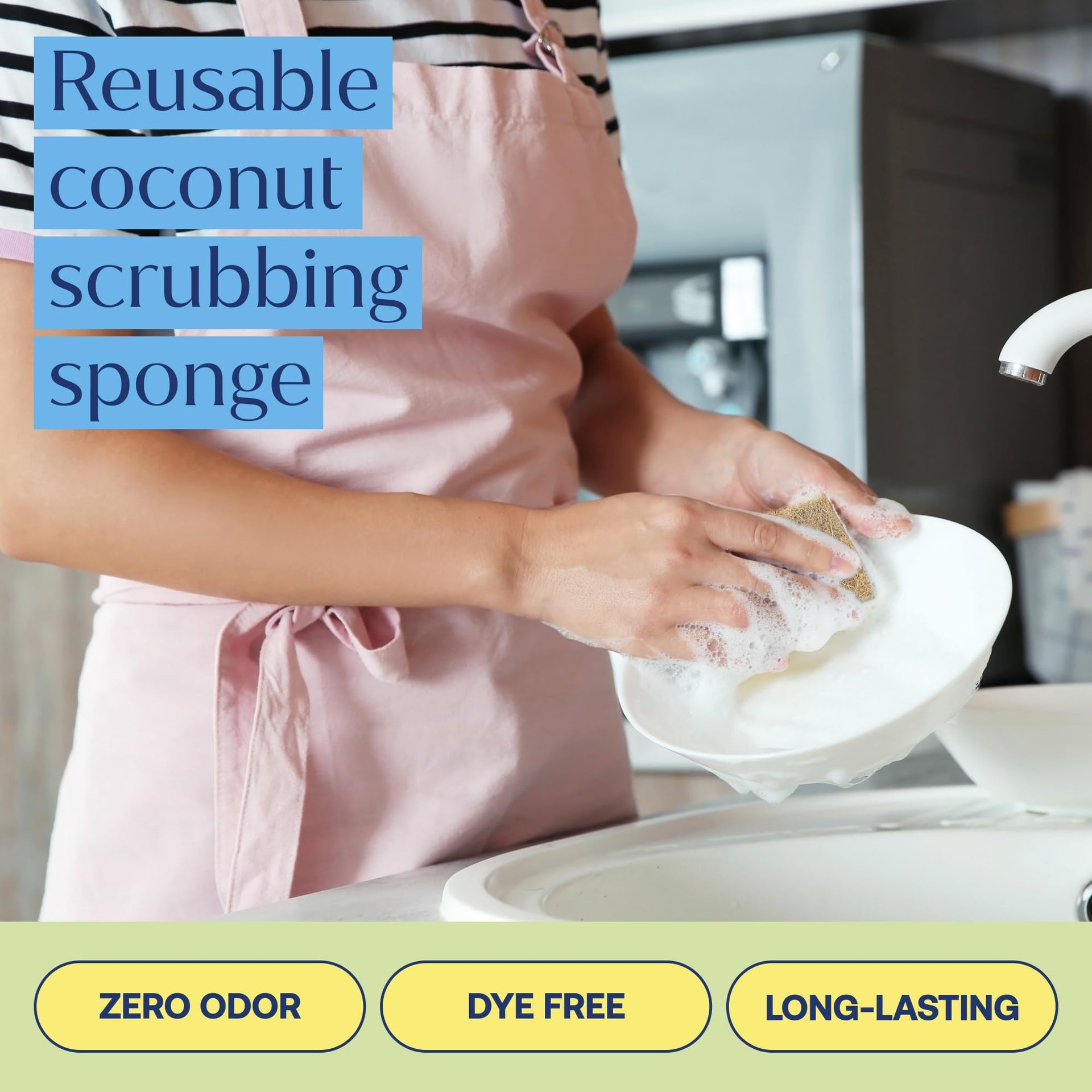 Coconut Cellulose Sponges (6 Count)