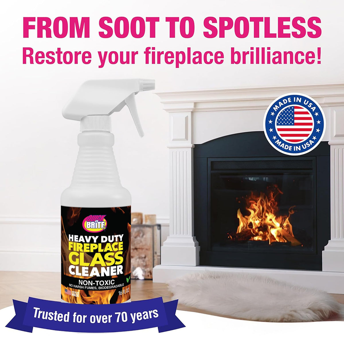 Fireplace Glass Cleaner 16oz (32 Fl Oz)