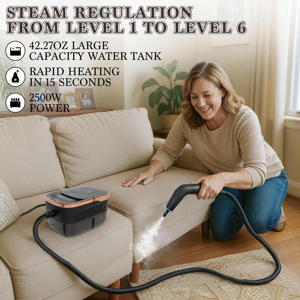 Steam Cleaner