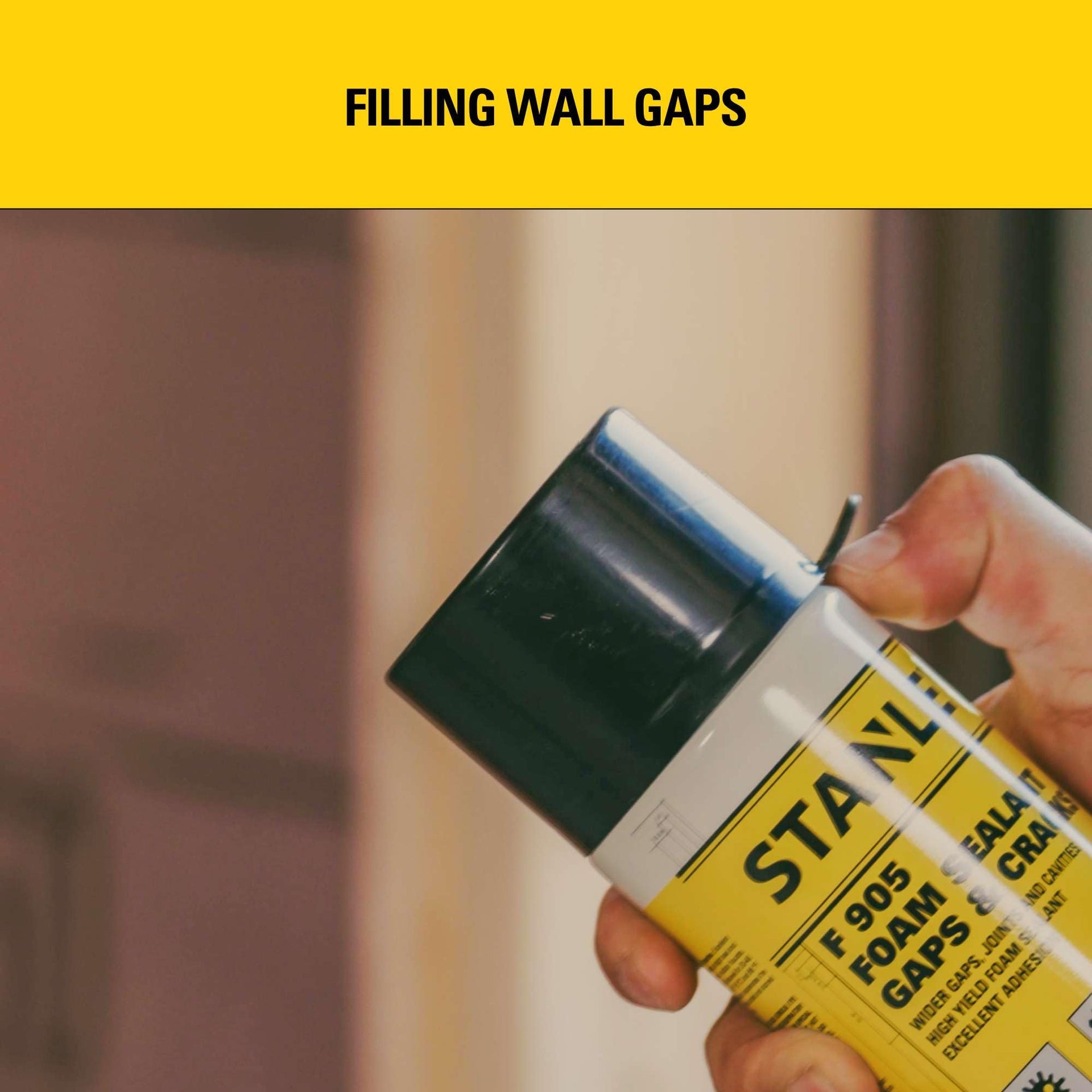 F905 Gaps & Cracks Sealant (12 Count)