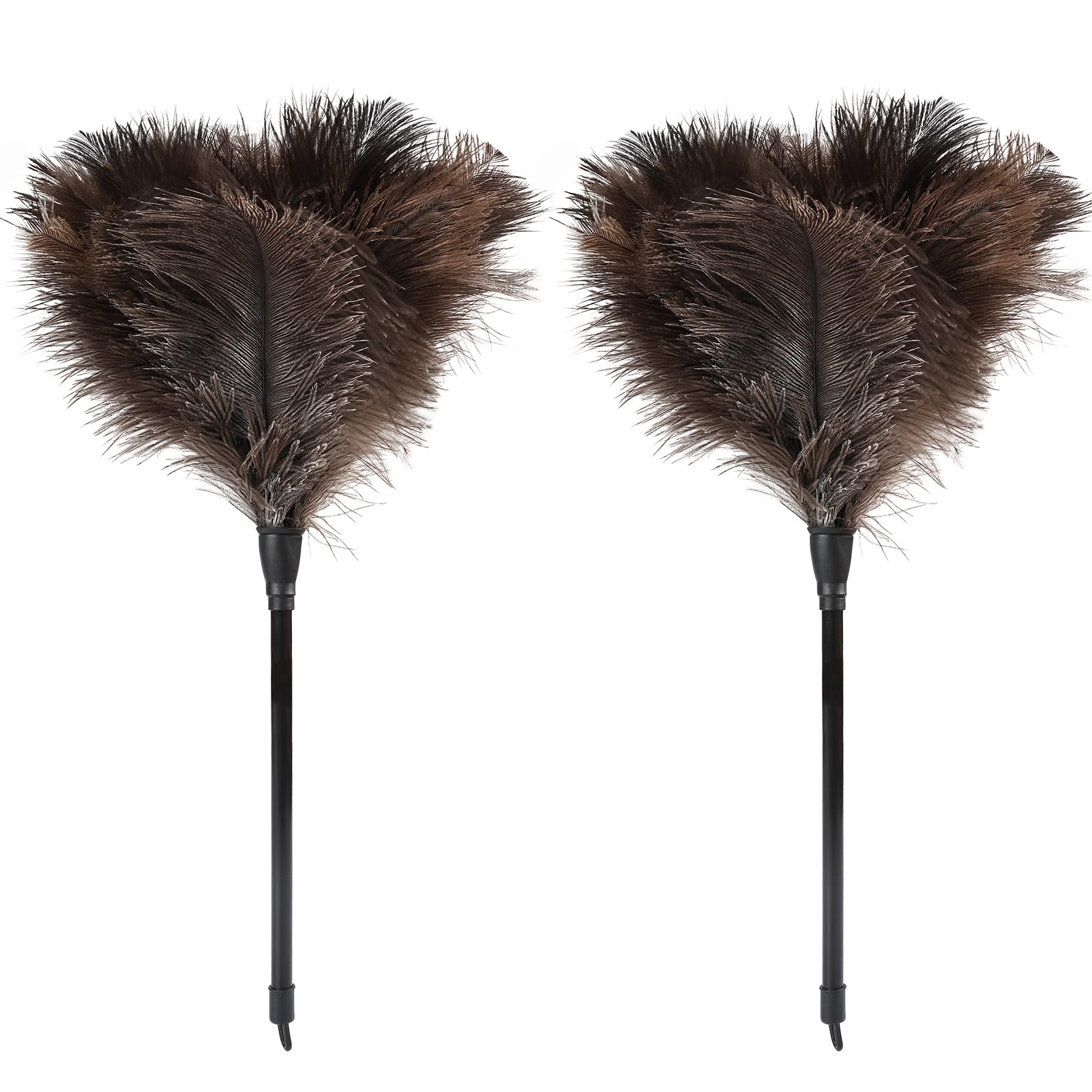 Ostrich Feather Duster