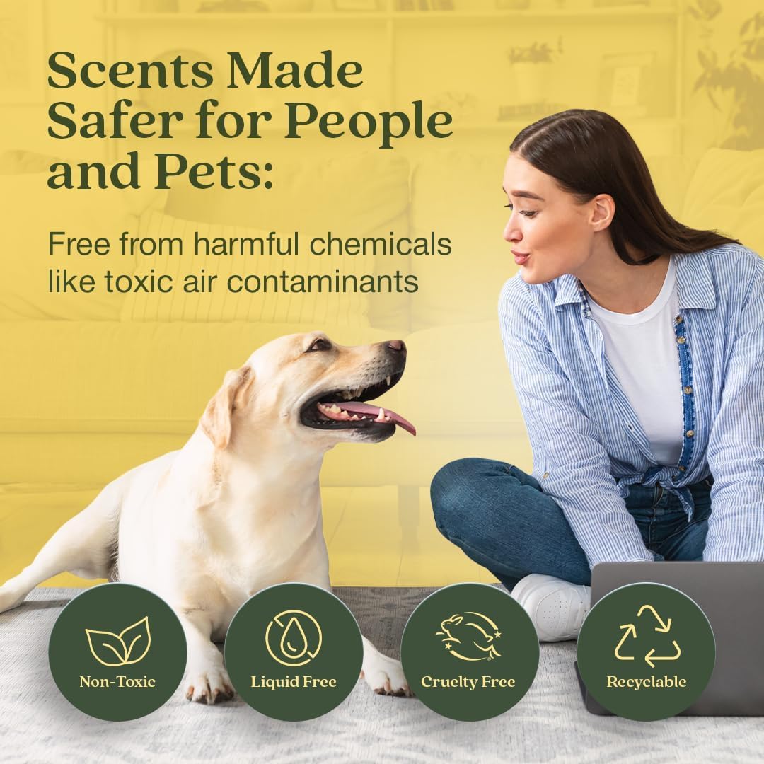 Scent Stix™ Starter Kit with Mango Wood Stand & Refill (2 Count)