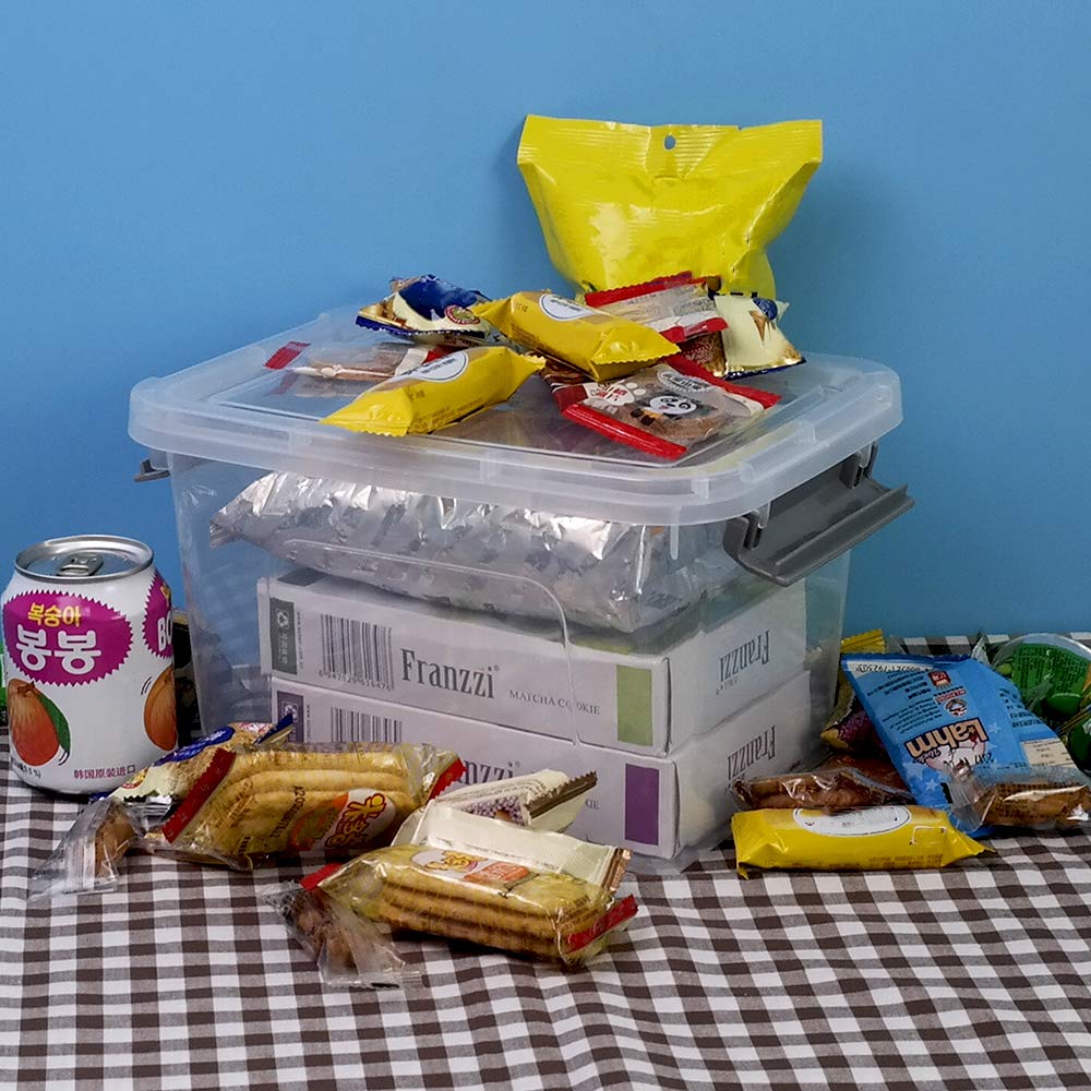 6 Pack 5 L Clear Plastic Storage Box (4 Count)