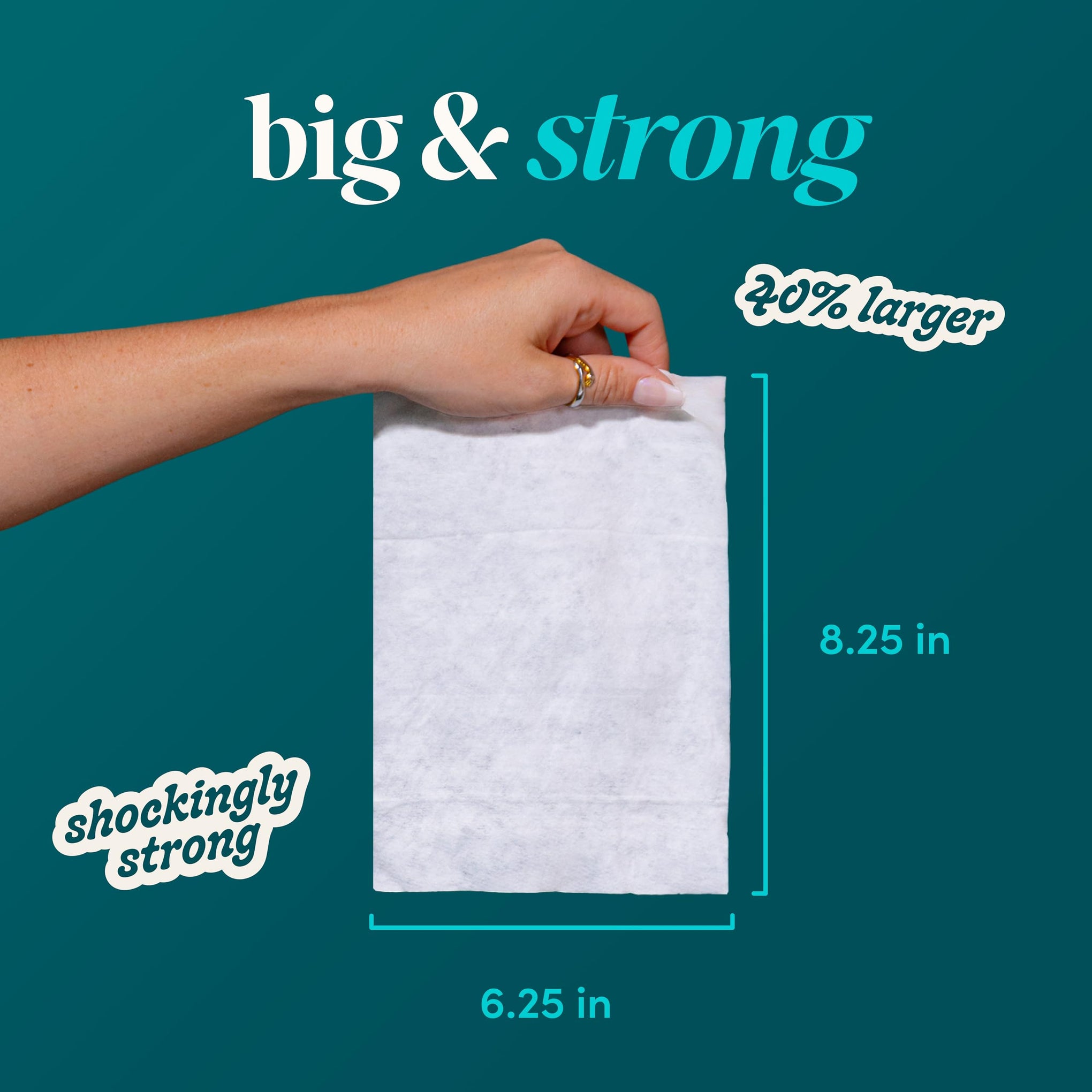 Flushable Wipes (418 Count)
