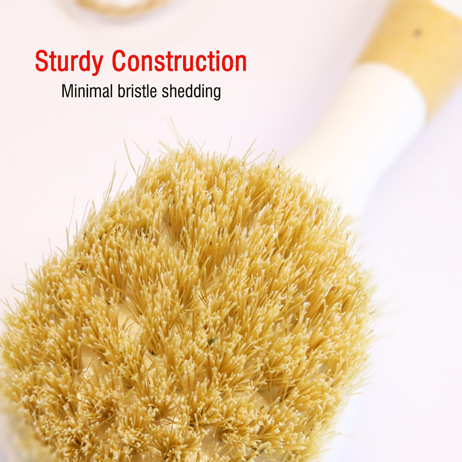Wooden Dish Brush (2 Count)