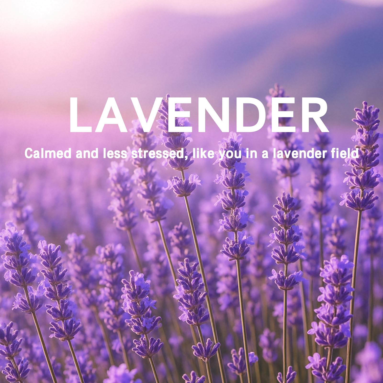 15 Packs Lavender Scented Sachets Bag for Drawers and Closets (15 Count)