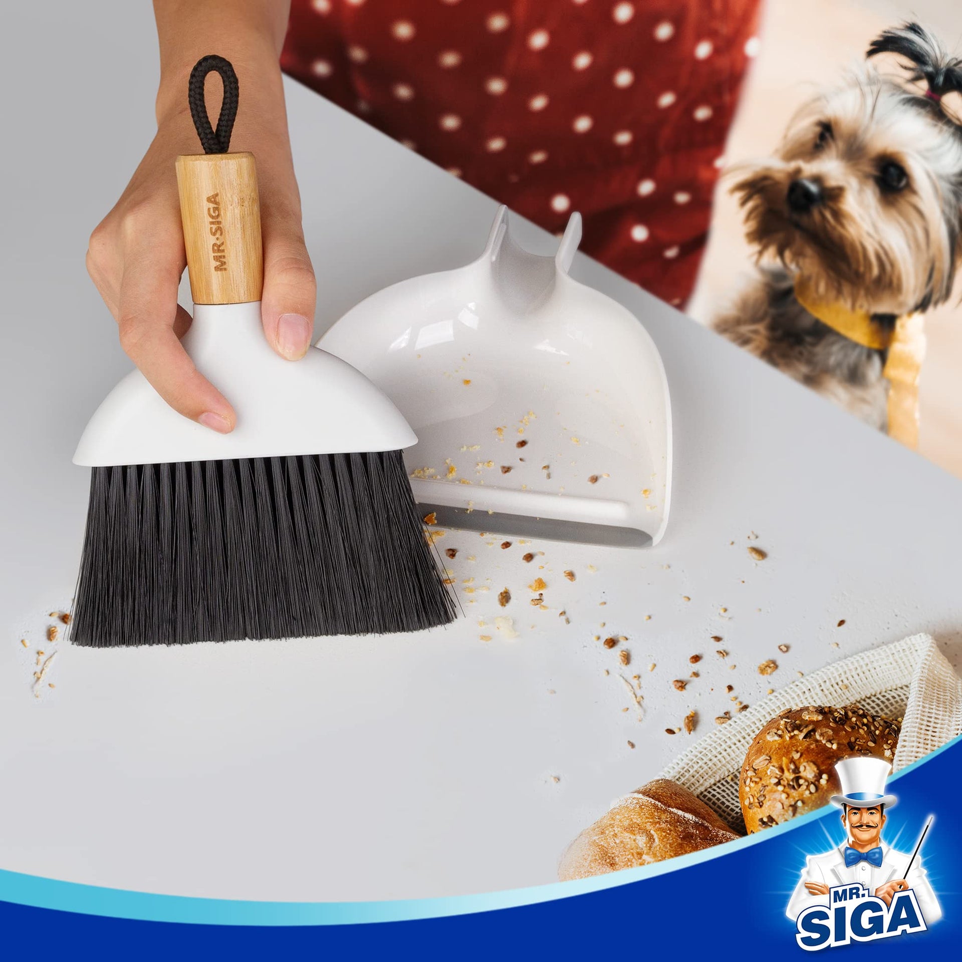 Mini Dustpan and Brush Set