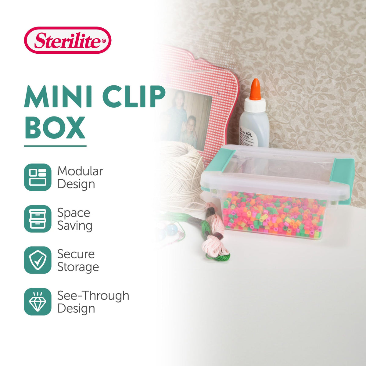 Mini Clip Box (6 Count)
