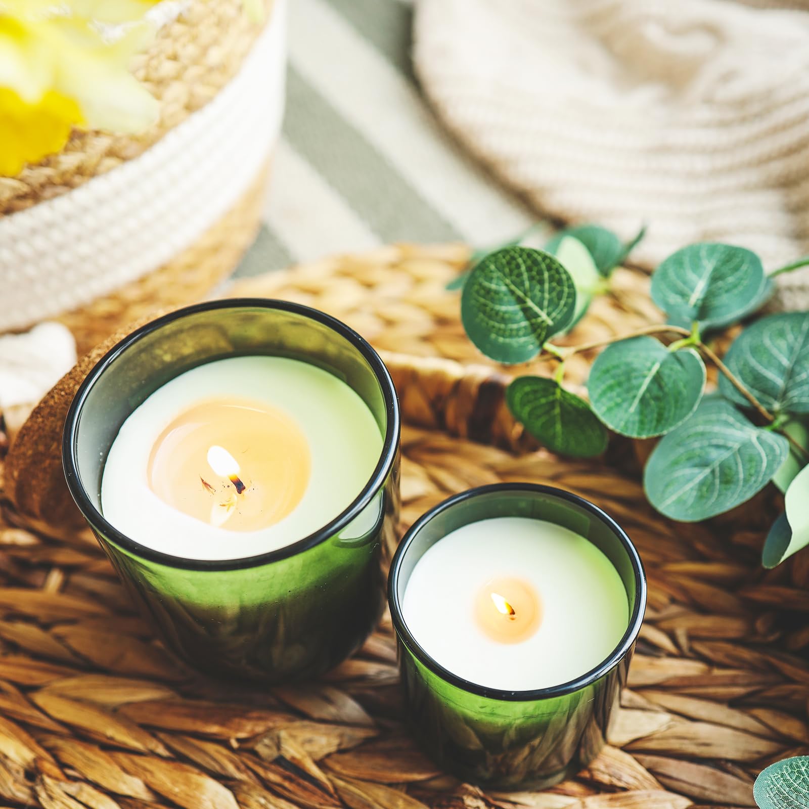 14 OZ Thick Candle Jars for Making Candles 12 Pcs (12 Count)